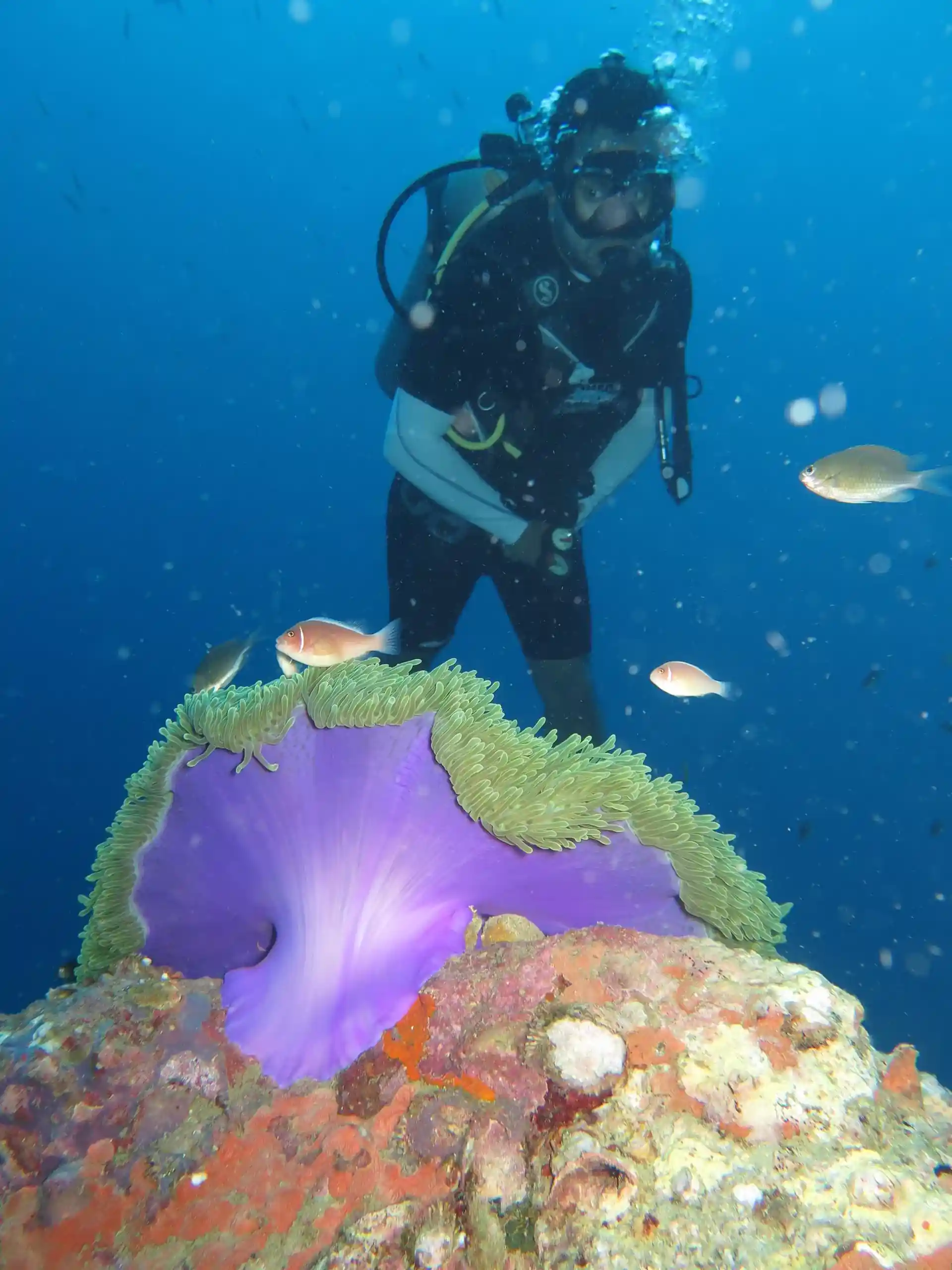 Foto de la actividad