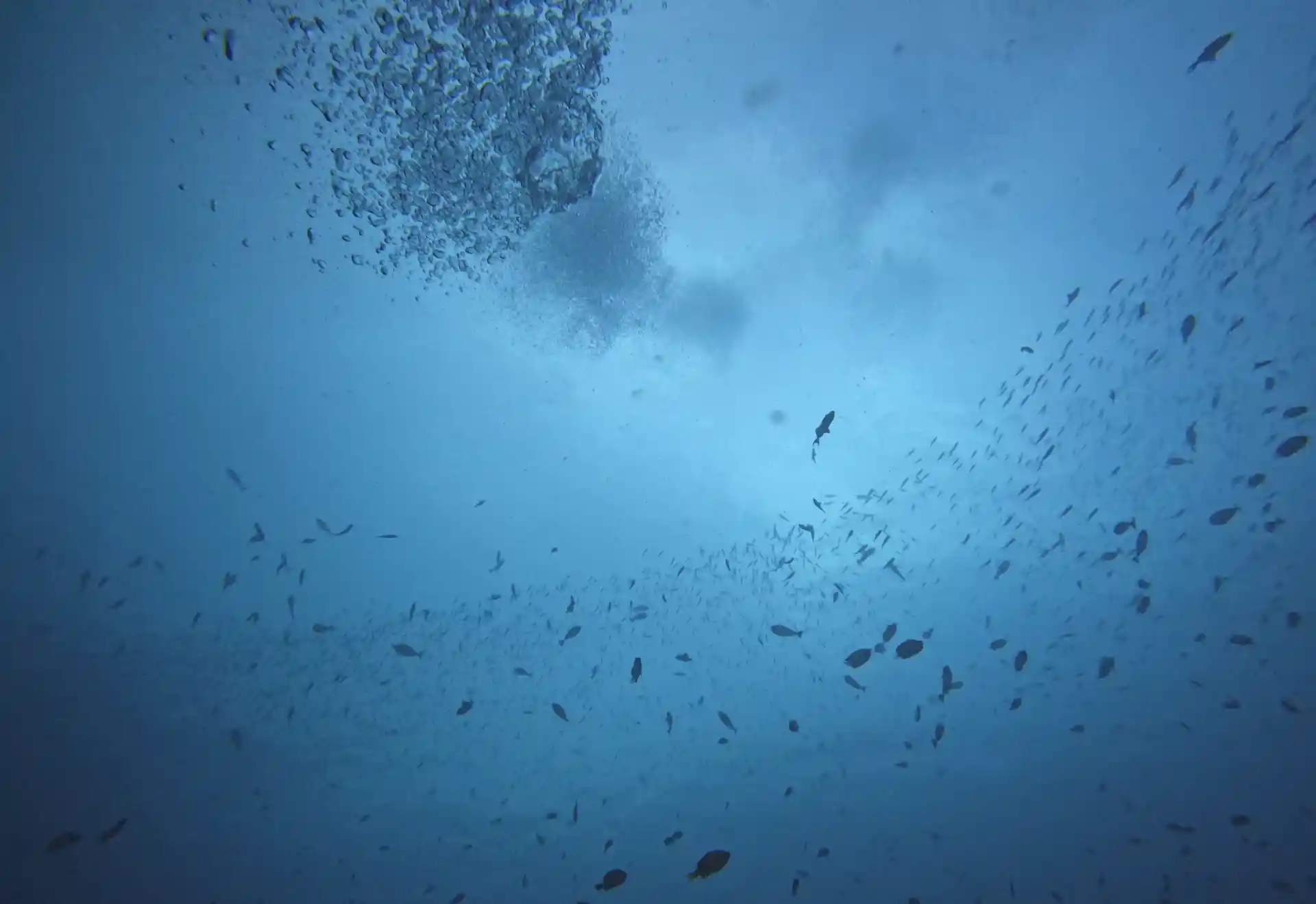 Dive site photo