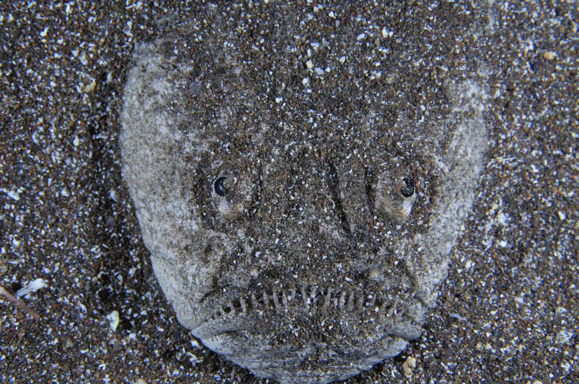 Foto des Tauchplatzes