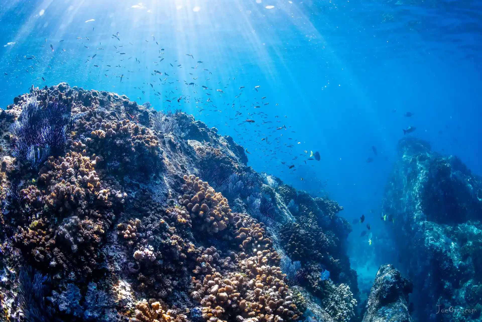 Foto de la actividad