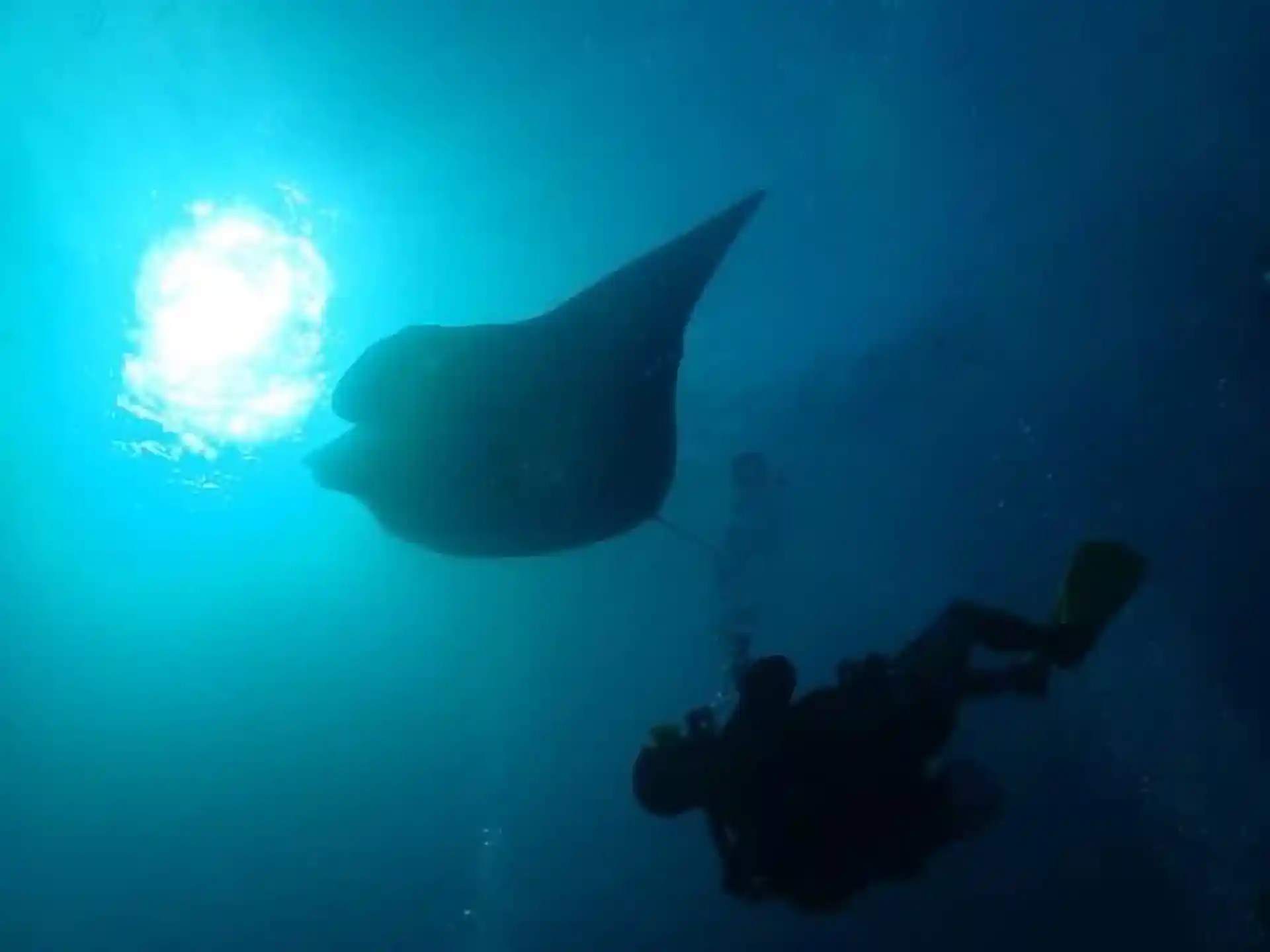 Dive shop photo