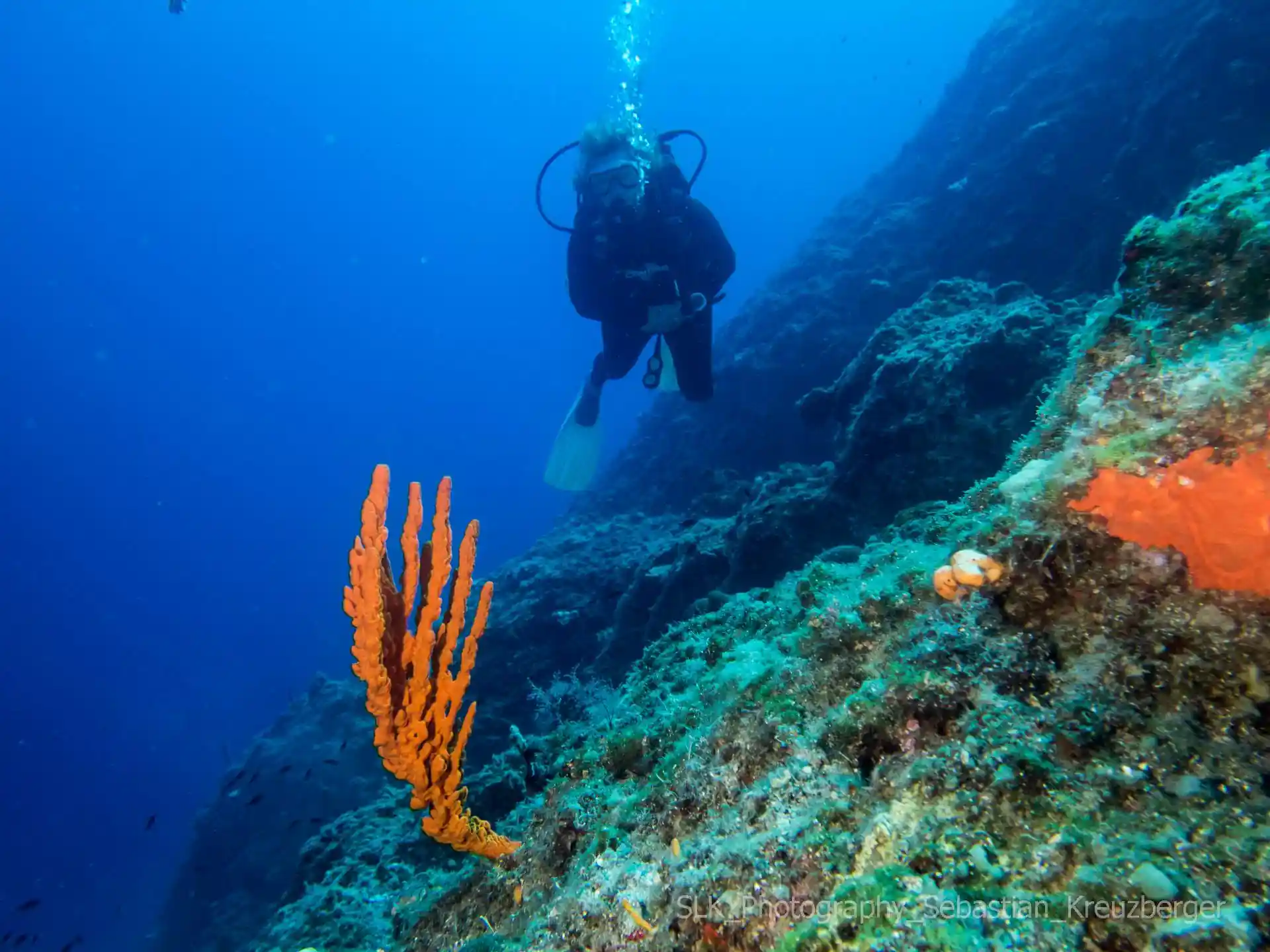 다이빙 포인트 사진