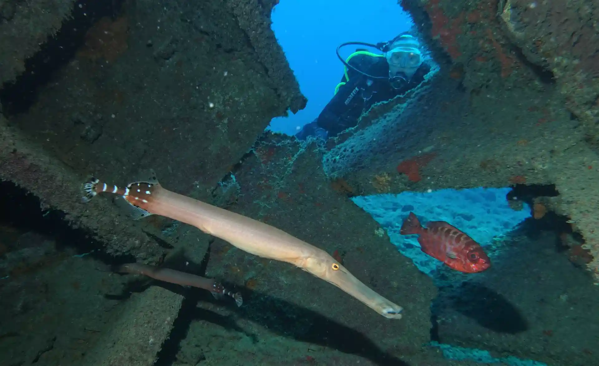 Foto del sitio de buceo