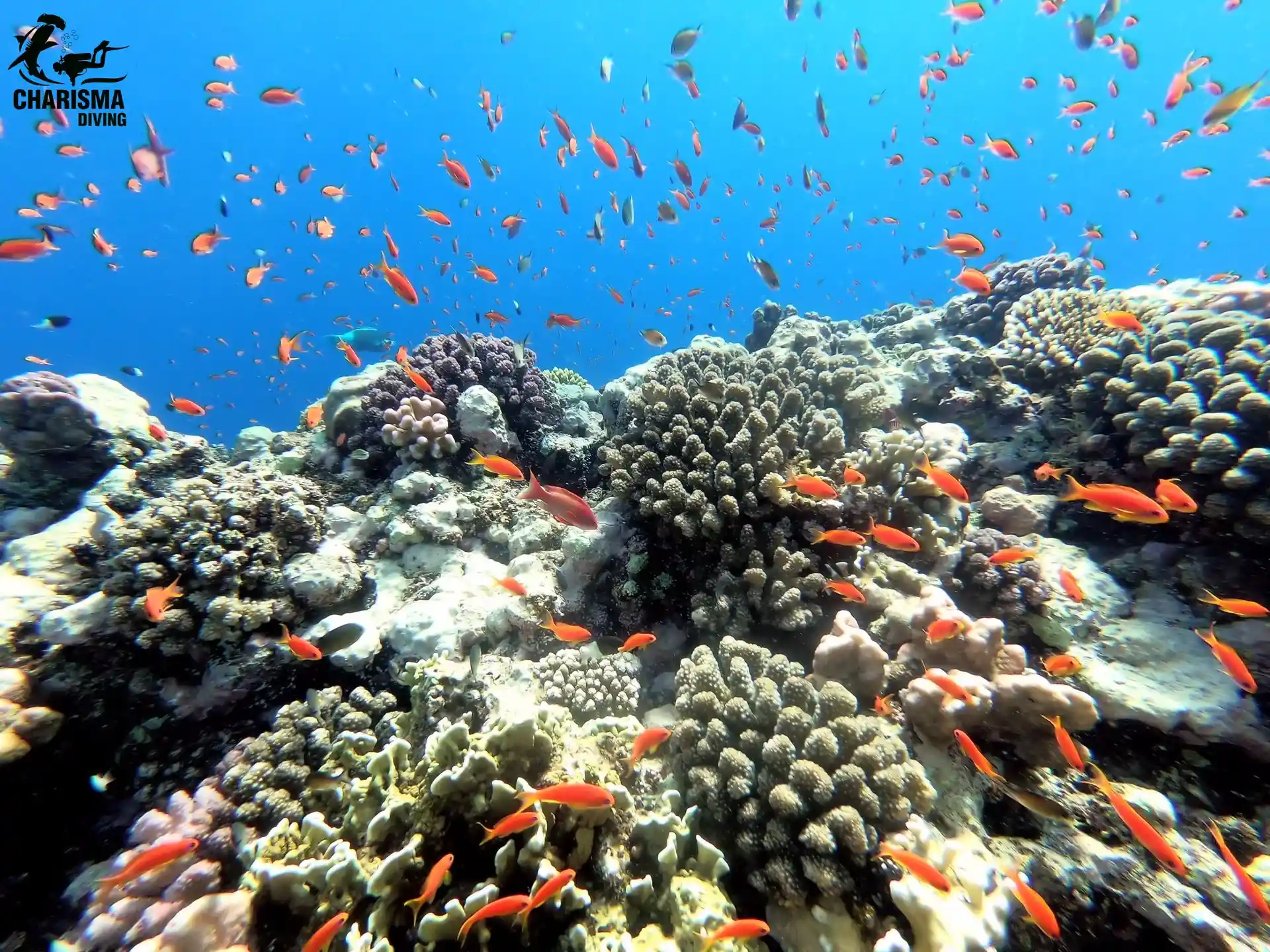 Foto del sitio de buceo
