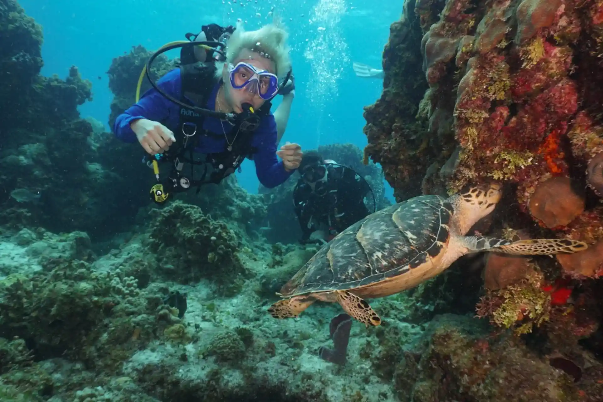 Dive site photo