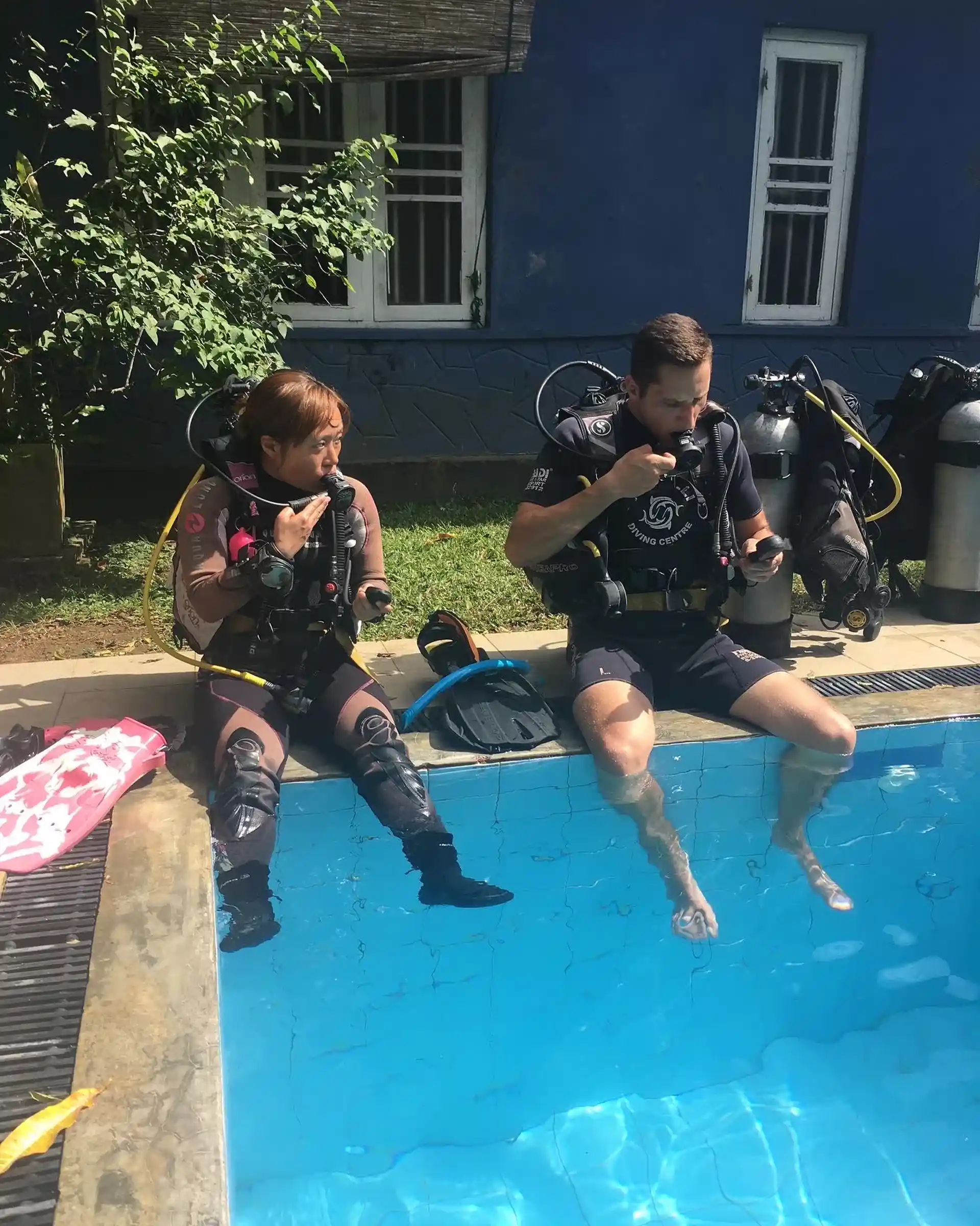 Learn basic scuba skills.