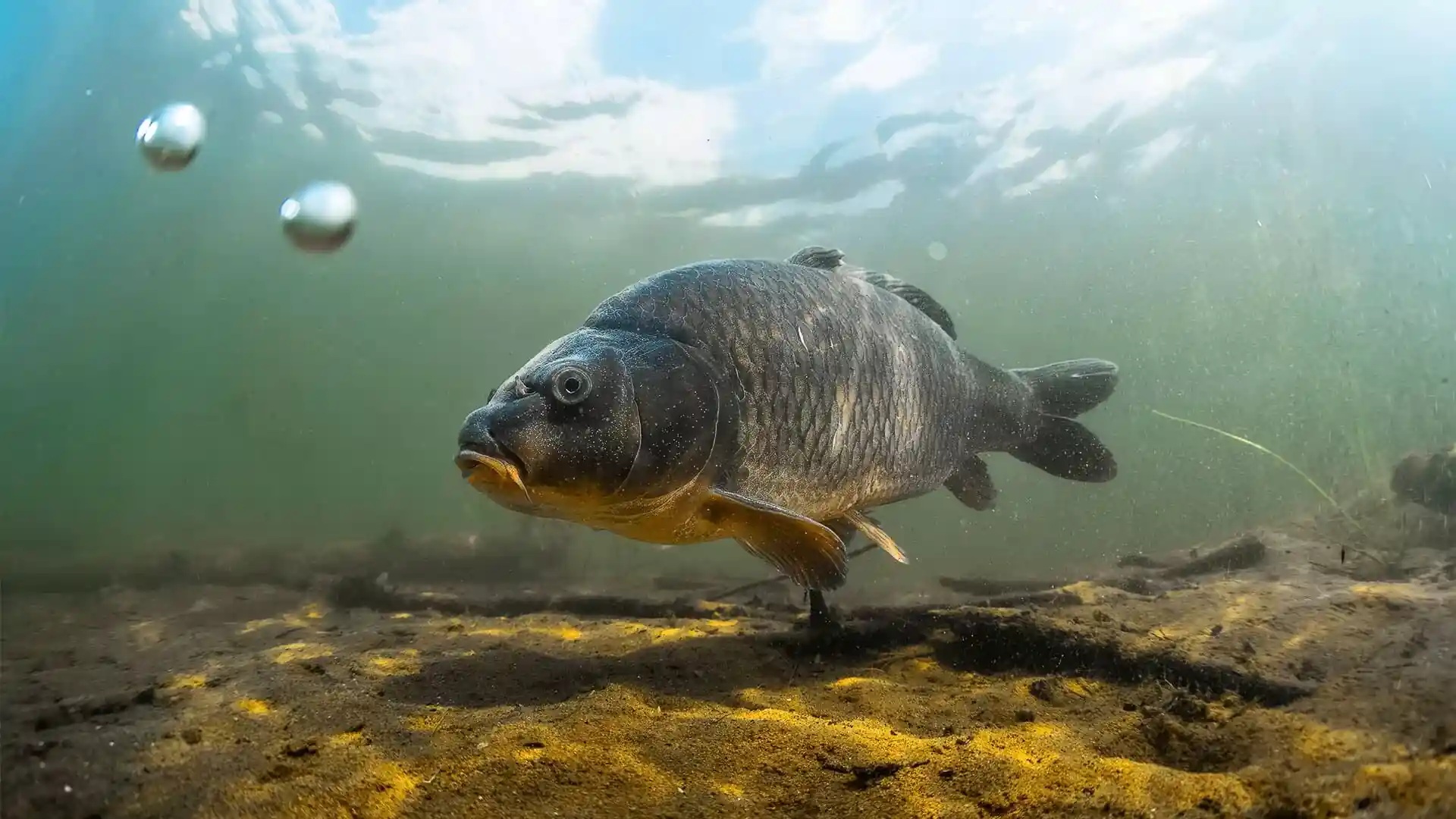 다이빙 포인트 사진