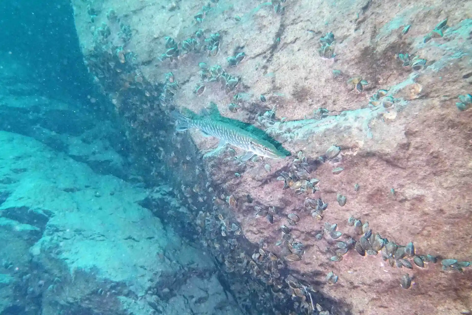 Foto des Tauchplatzes