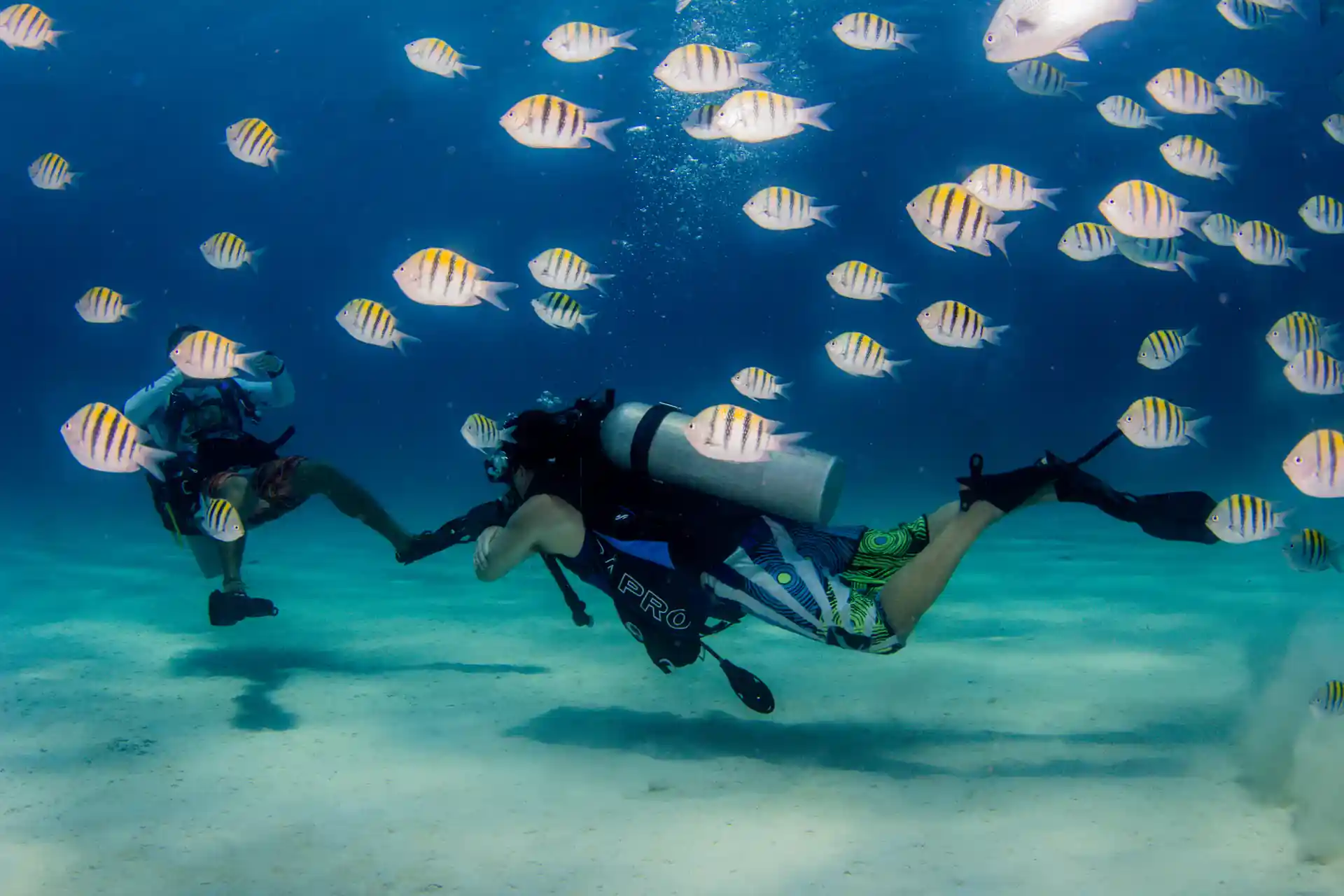 Foto de la actividad