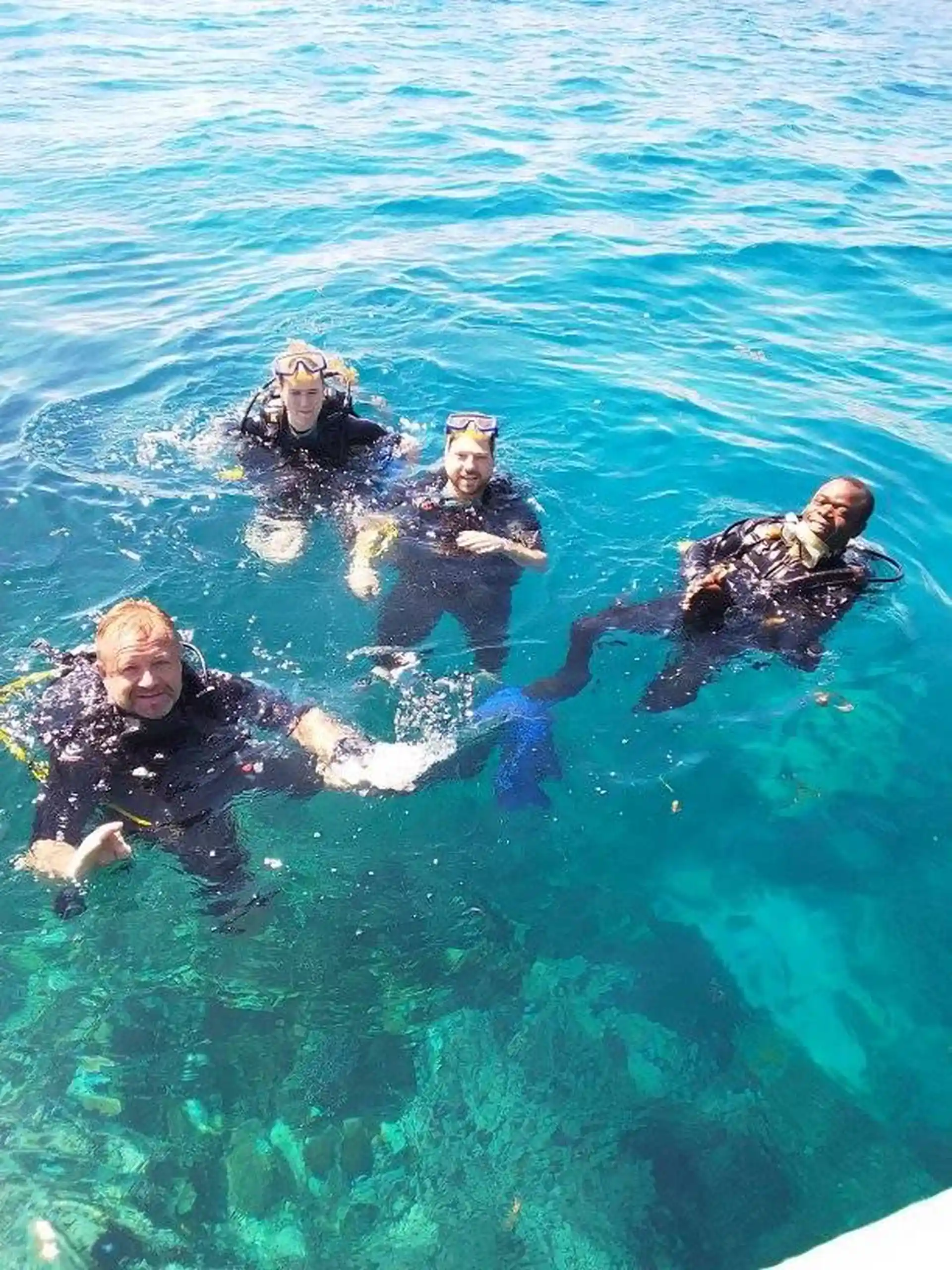 ダイビングサイトの写真