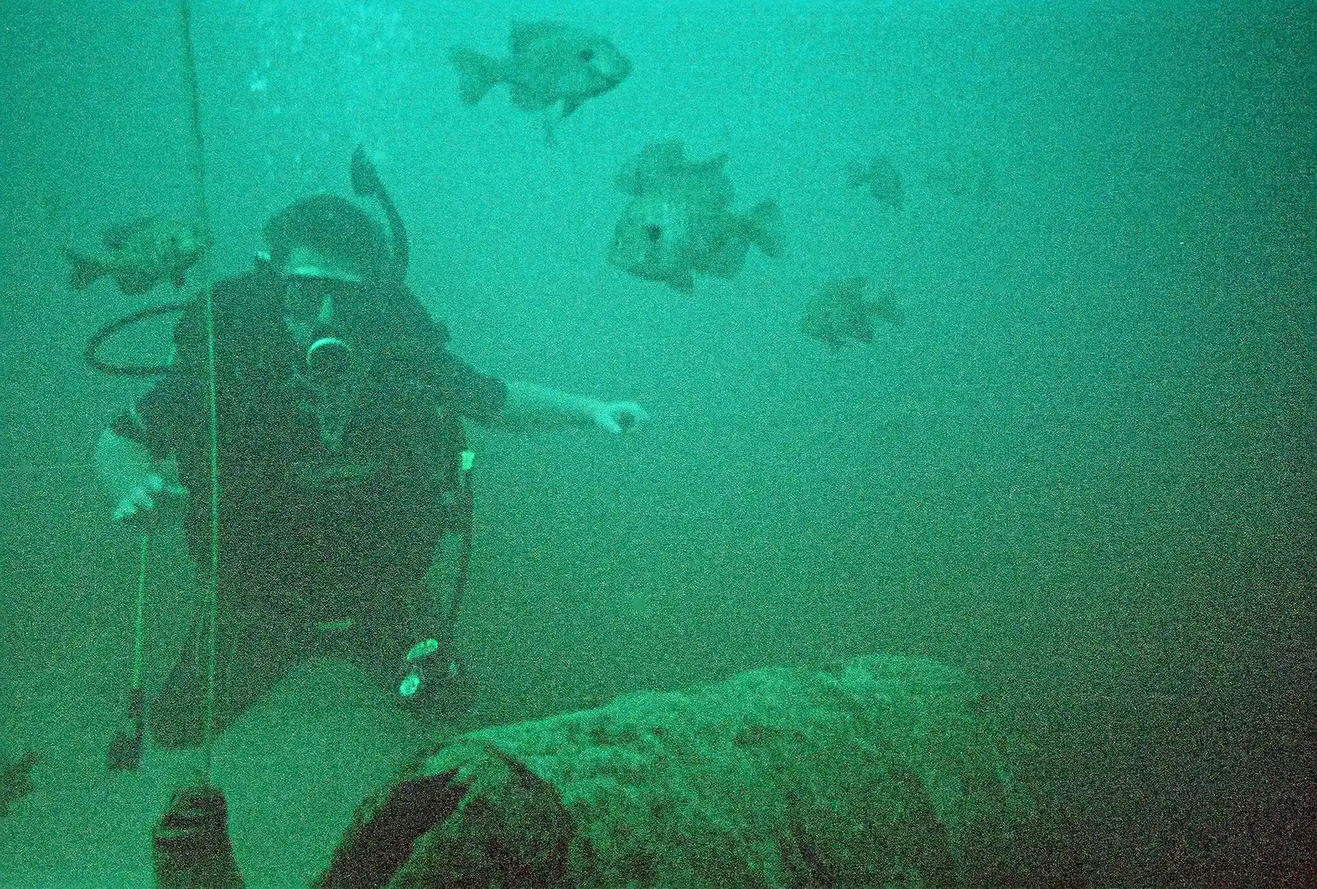 Dive site photo