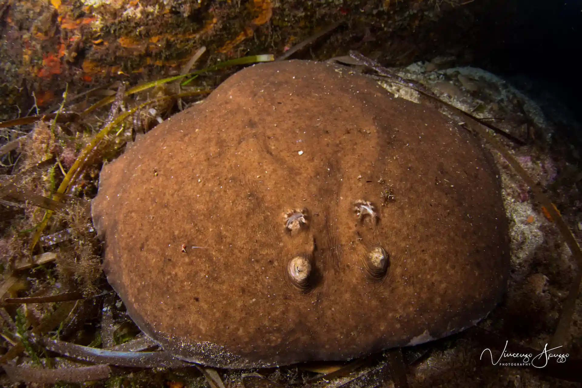 Foto des Tauchplatzes