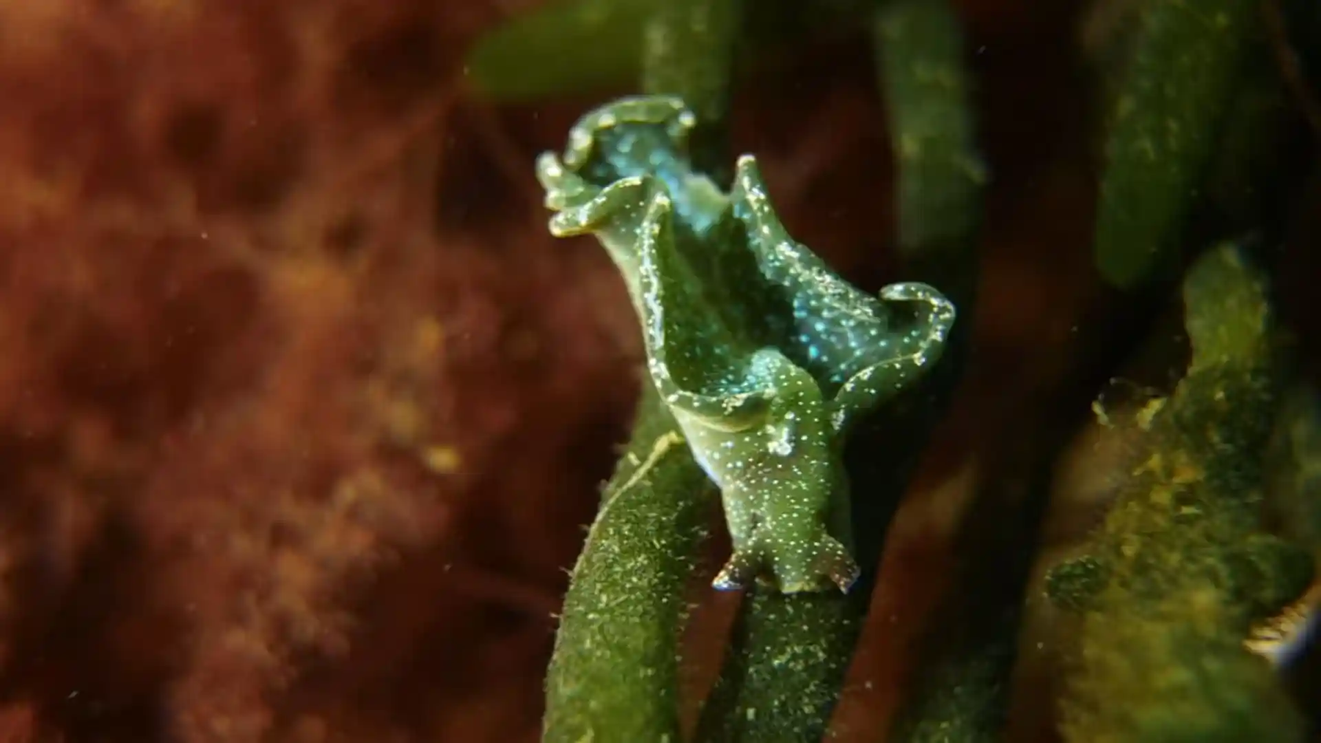 Foto des Tauchplatzes