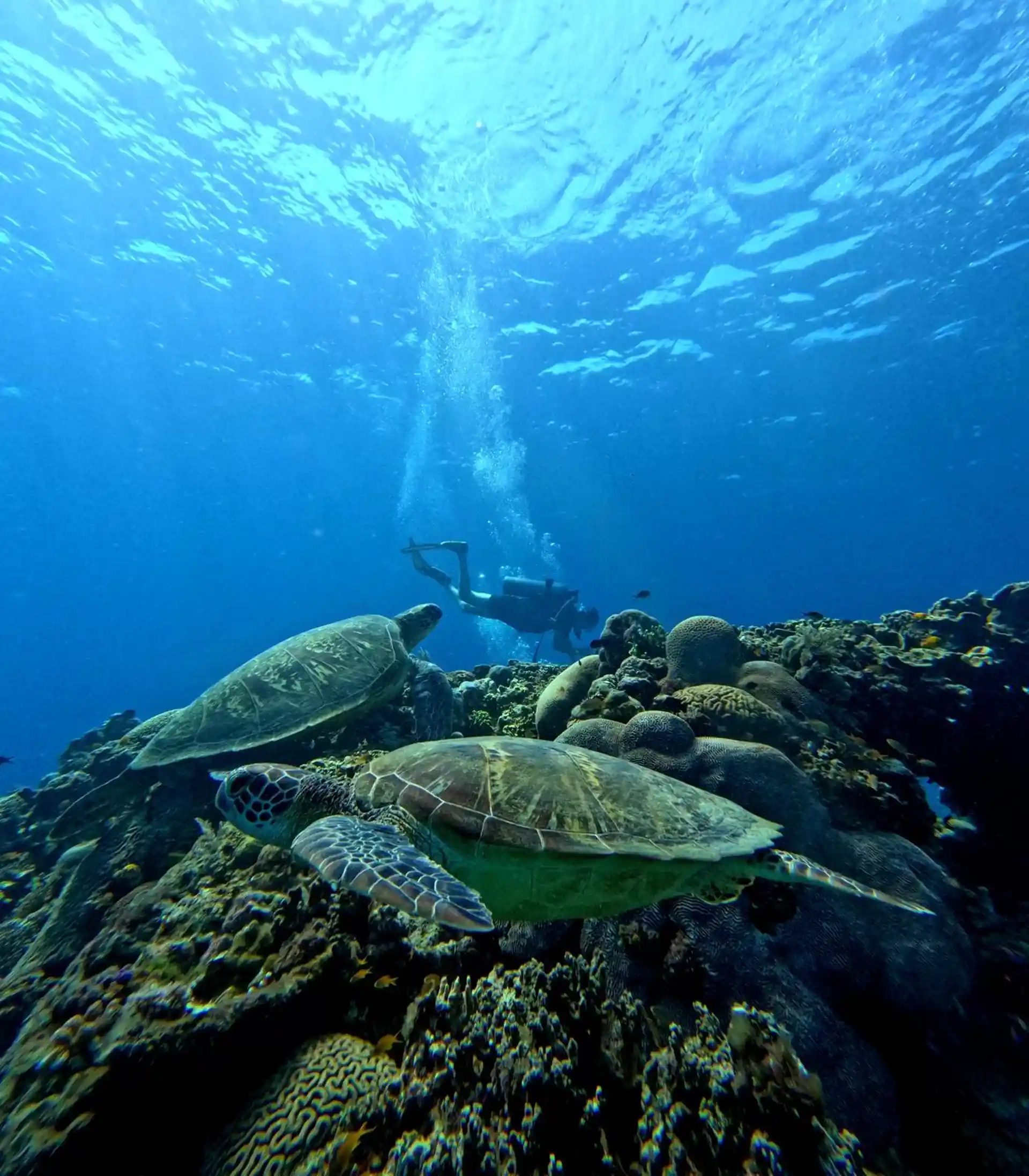 Dive site photo