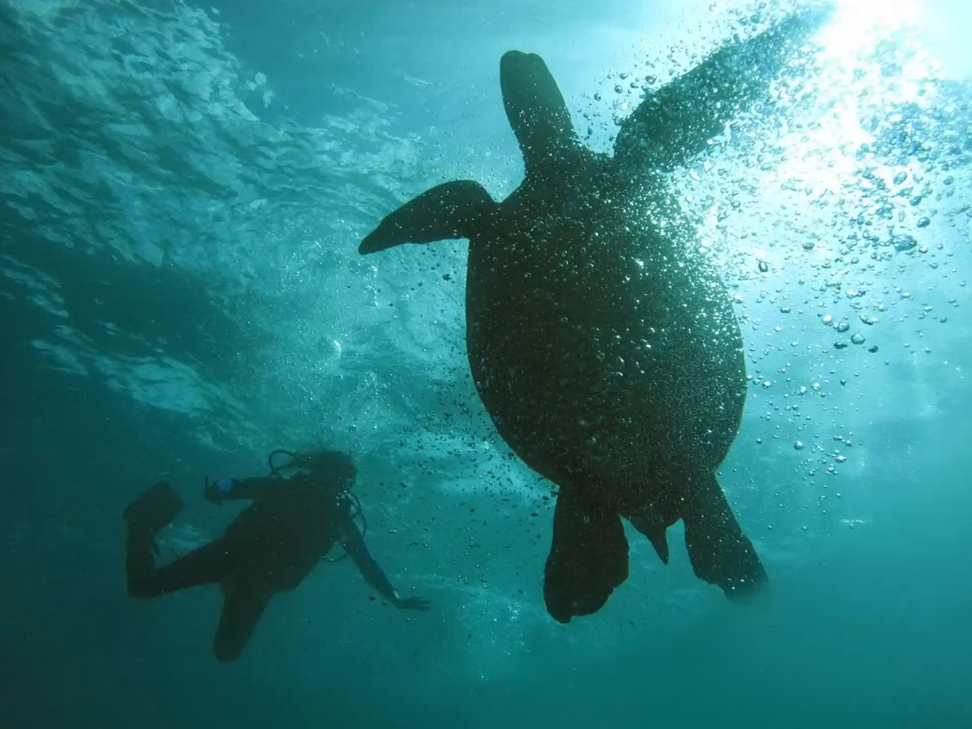 Dive site photo