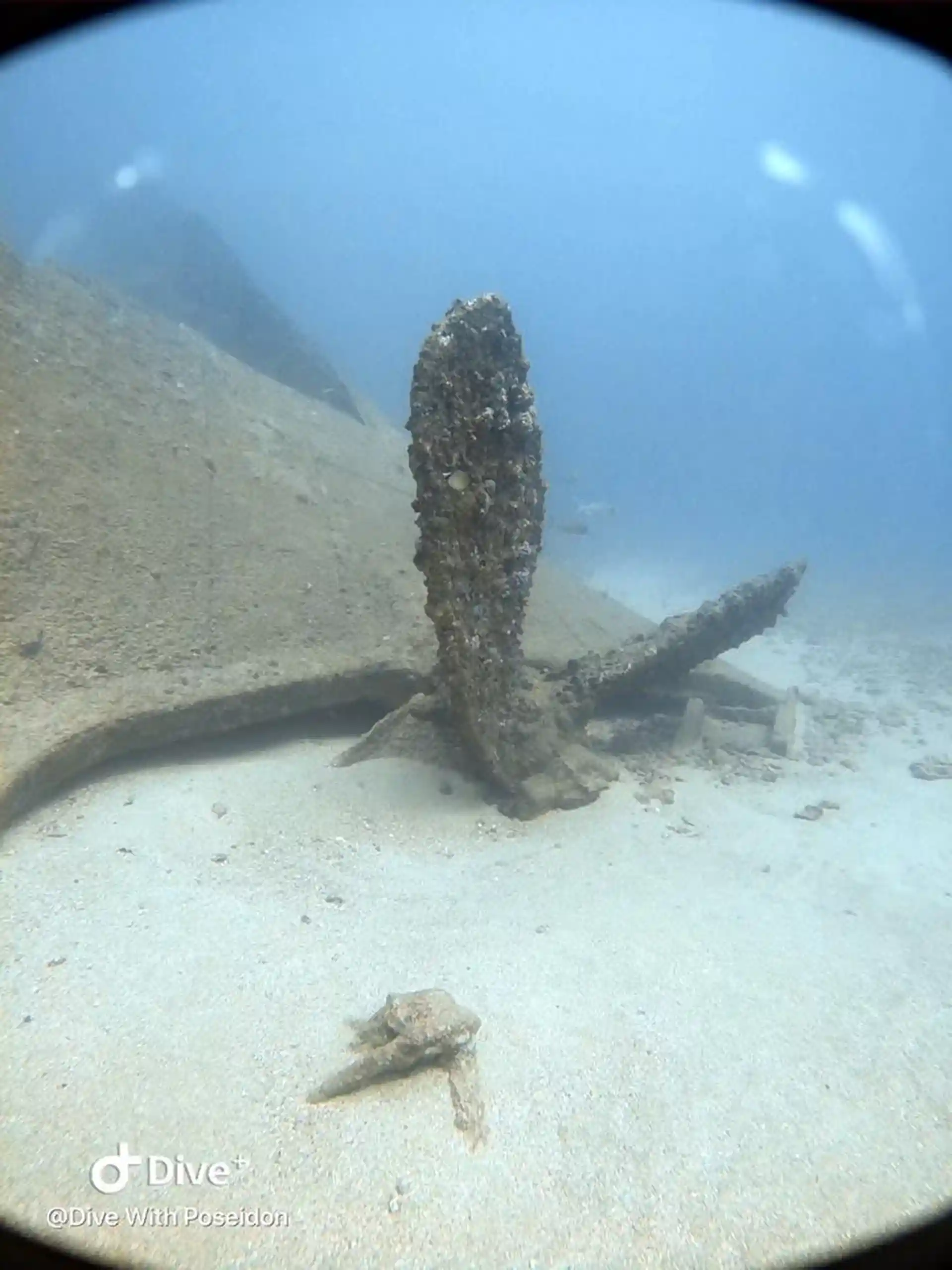 Foto des Tauchplatzes