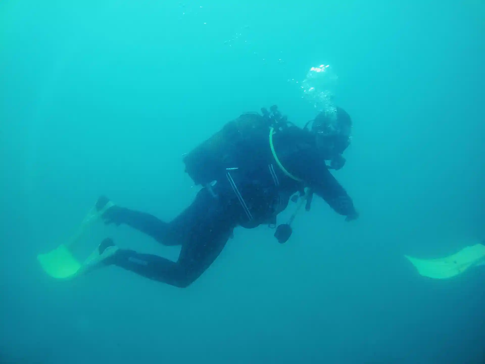 다이빙 포인트 사진