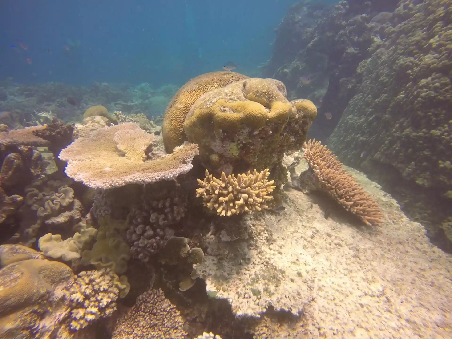 Dive shop photo