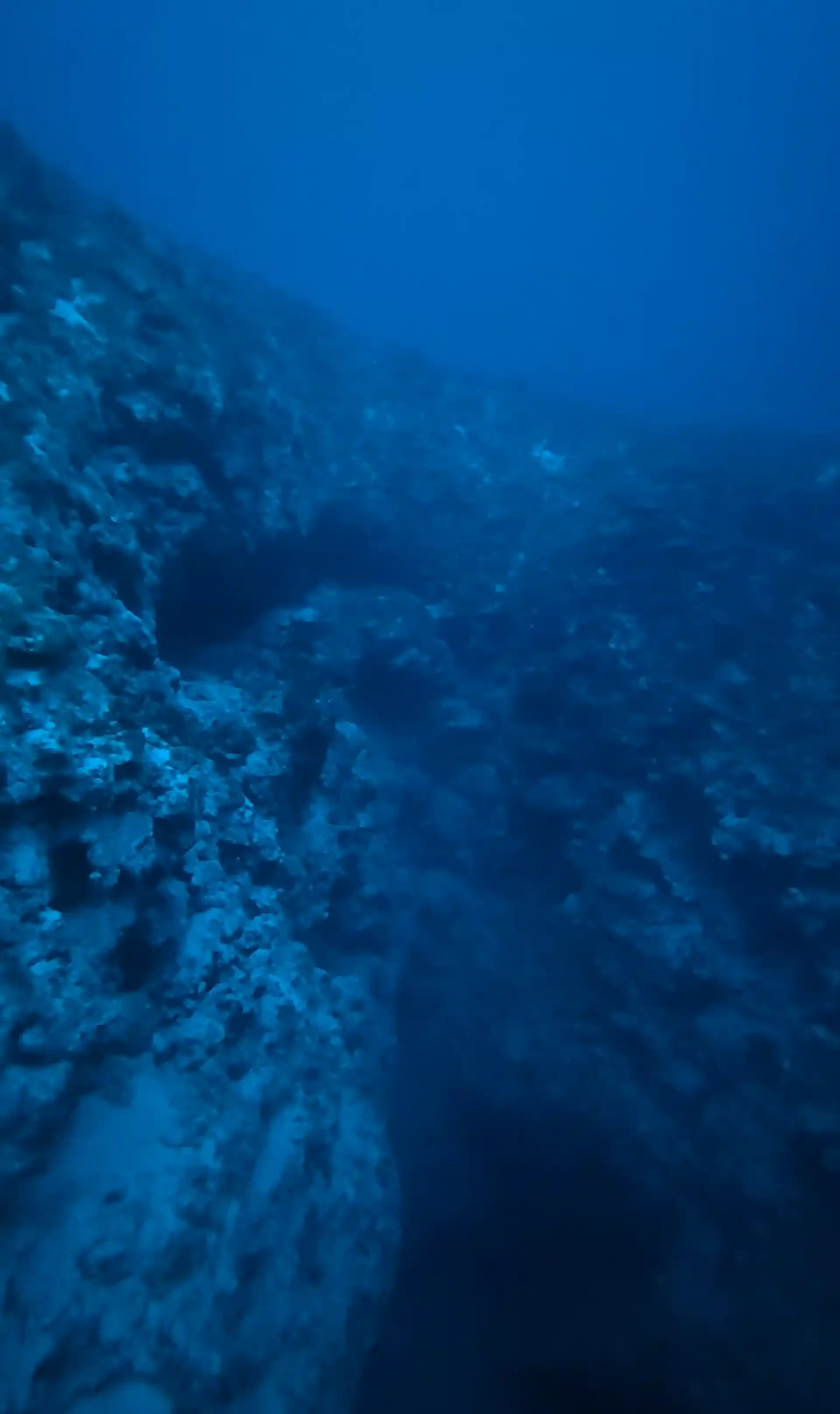 Dive site photo