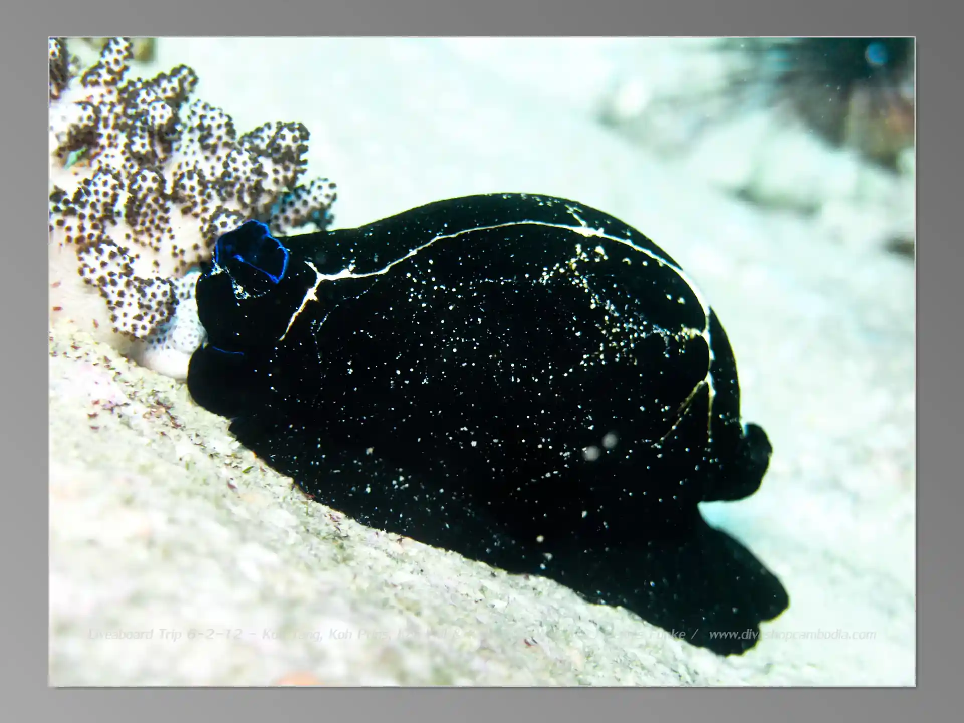 Foto van de duiklocatie