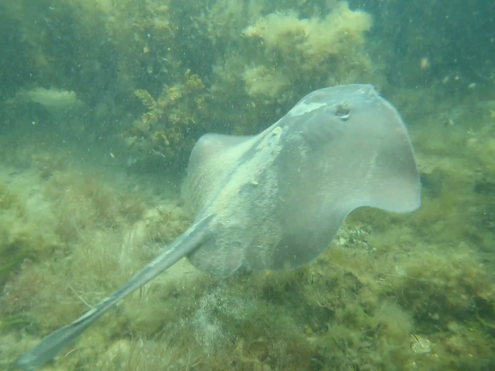 Dive site photo