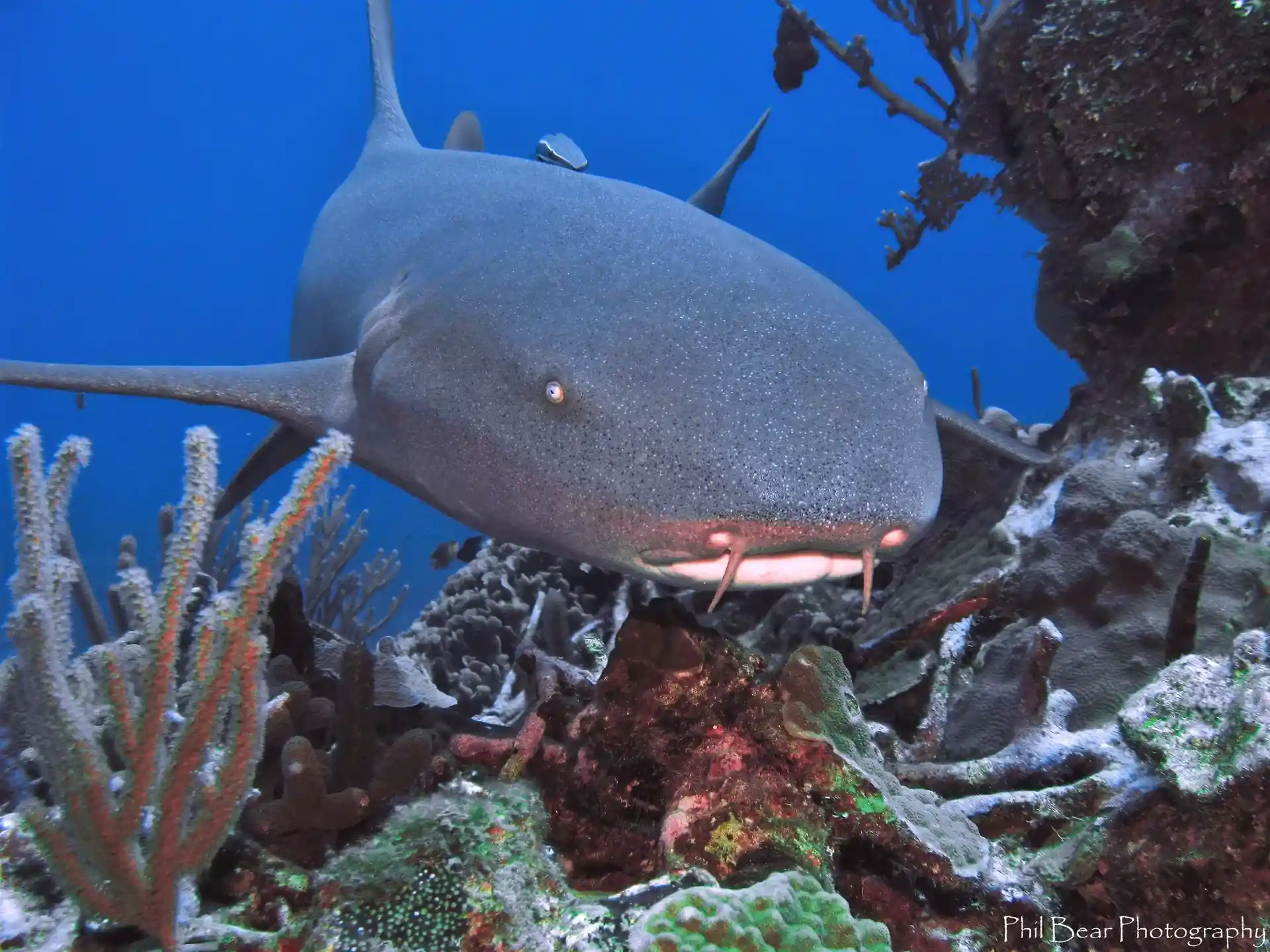 Dive site photo