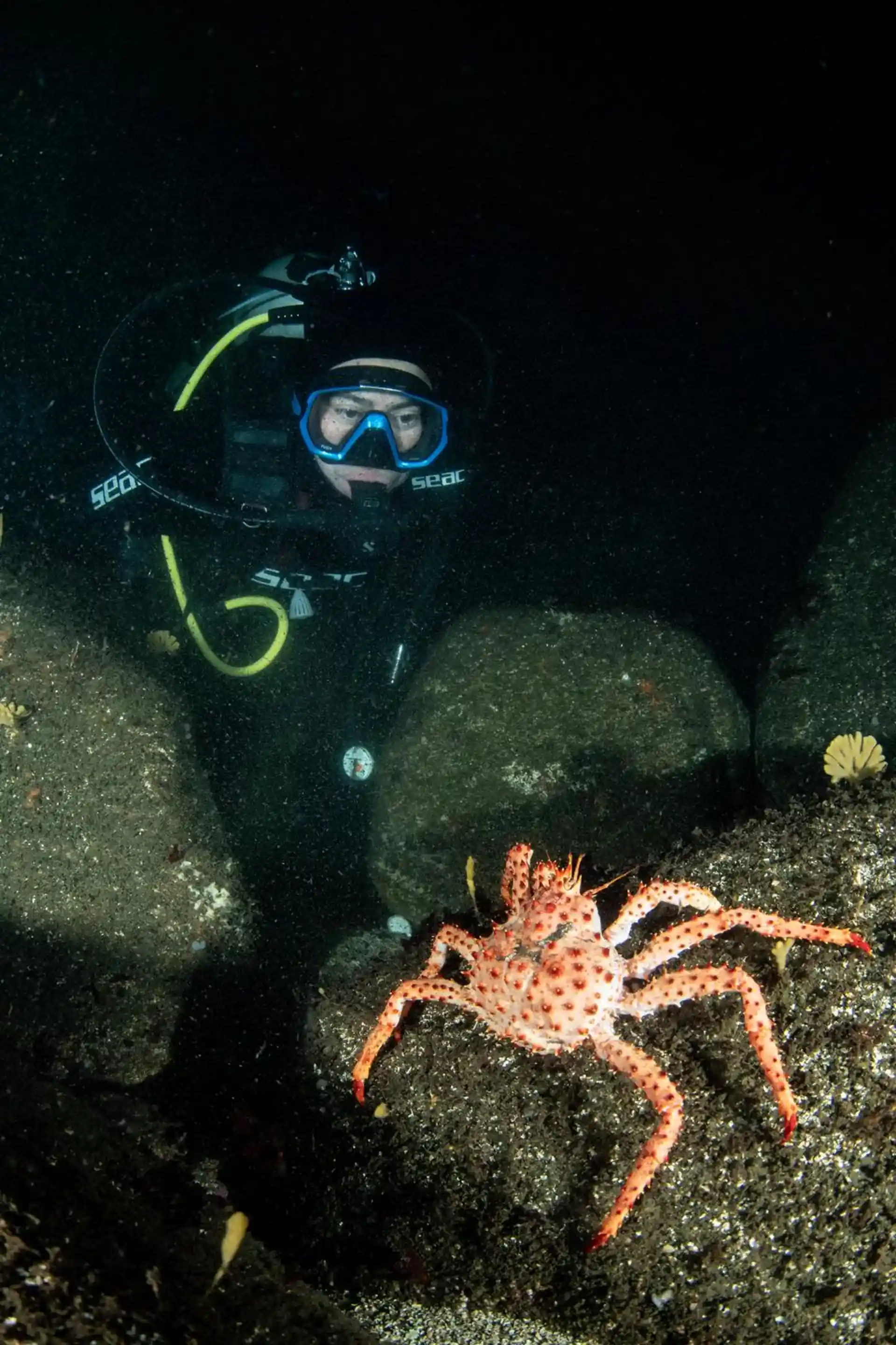 Dive site photo