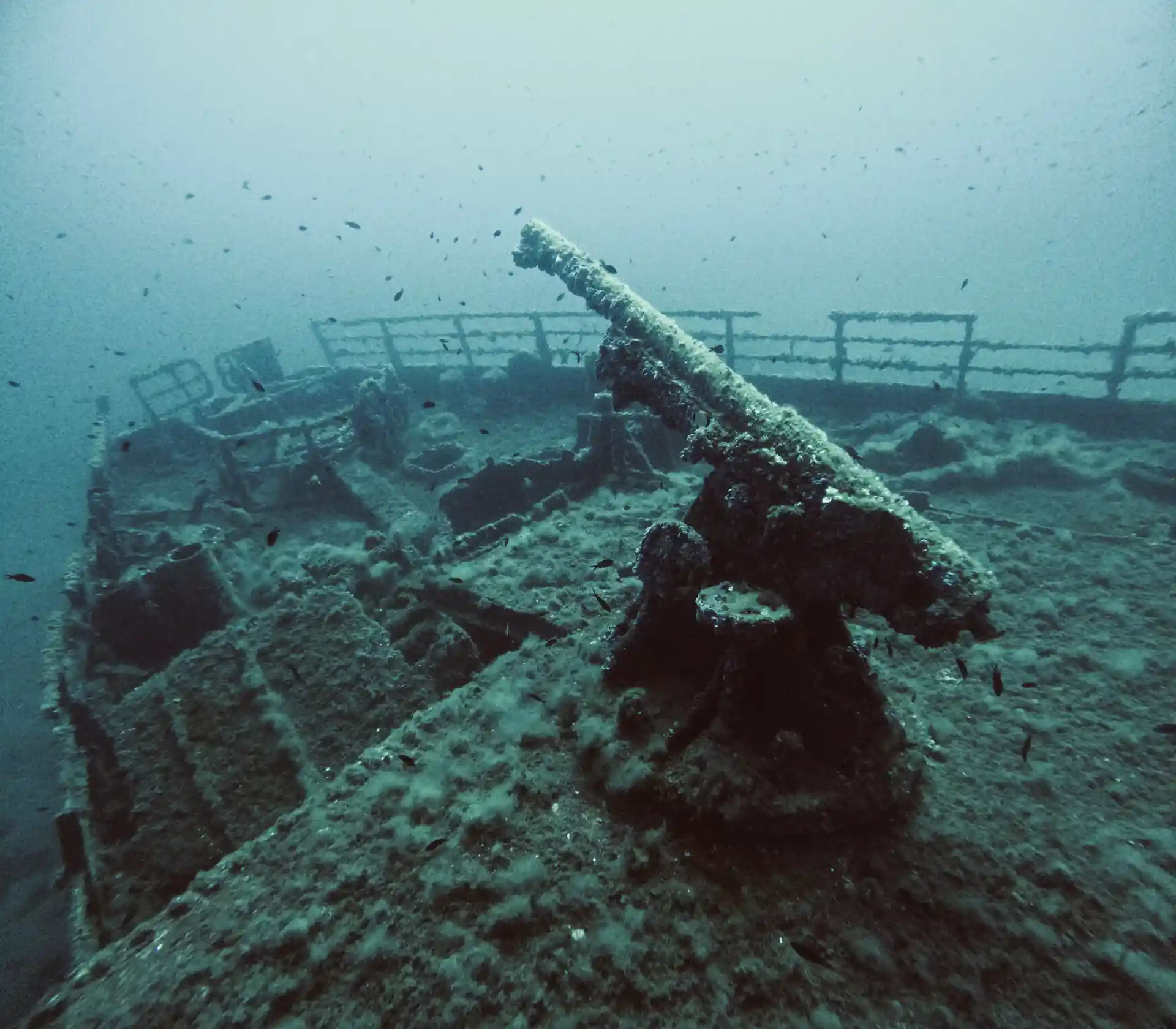 Photo de l'activité