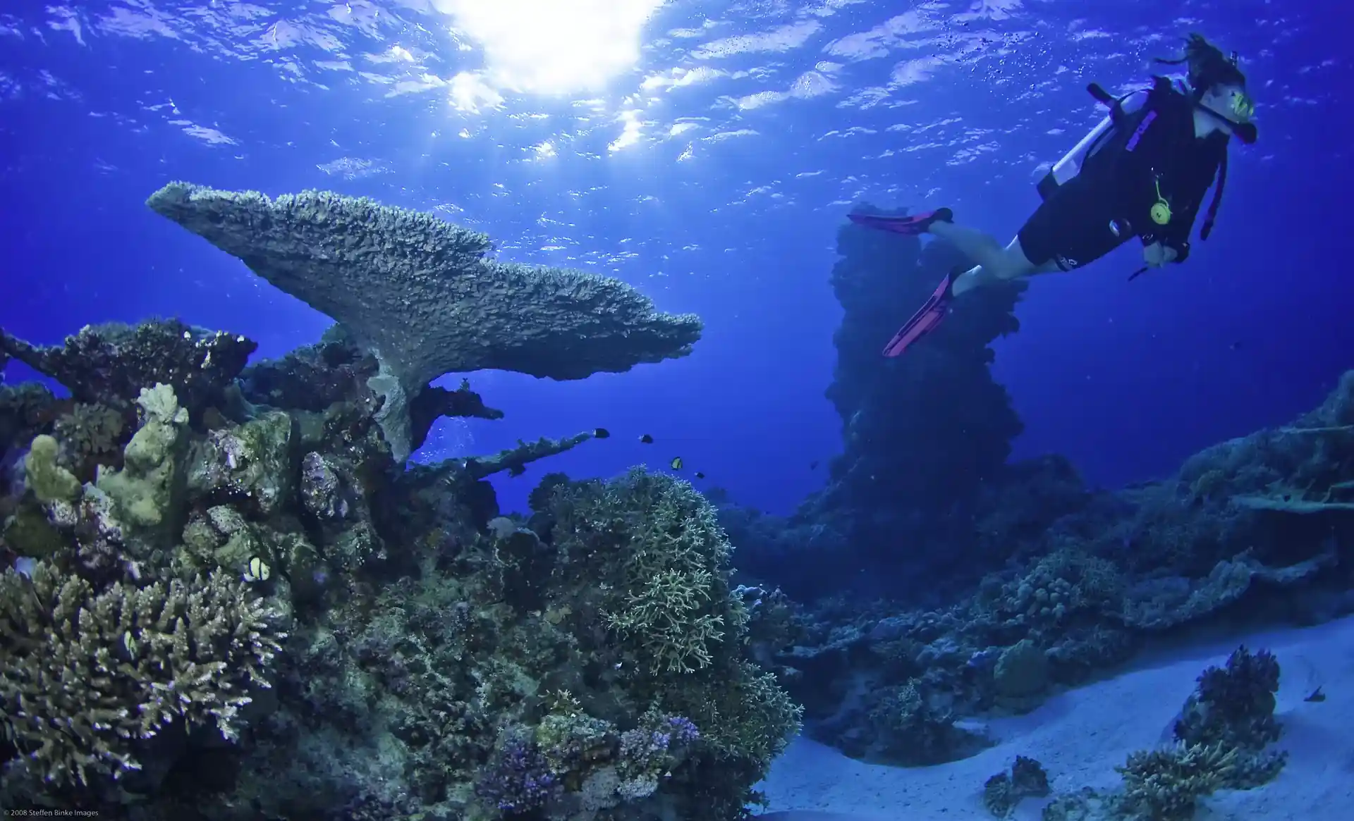 Dive site photo
