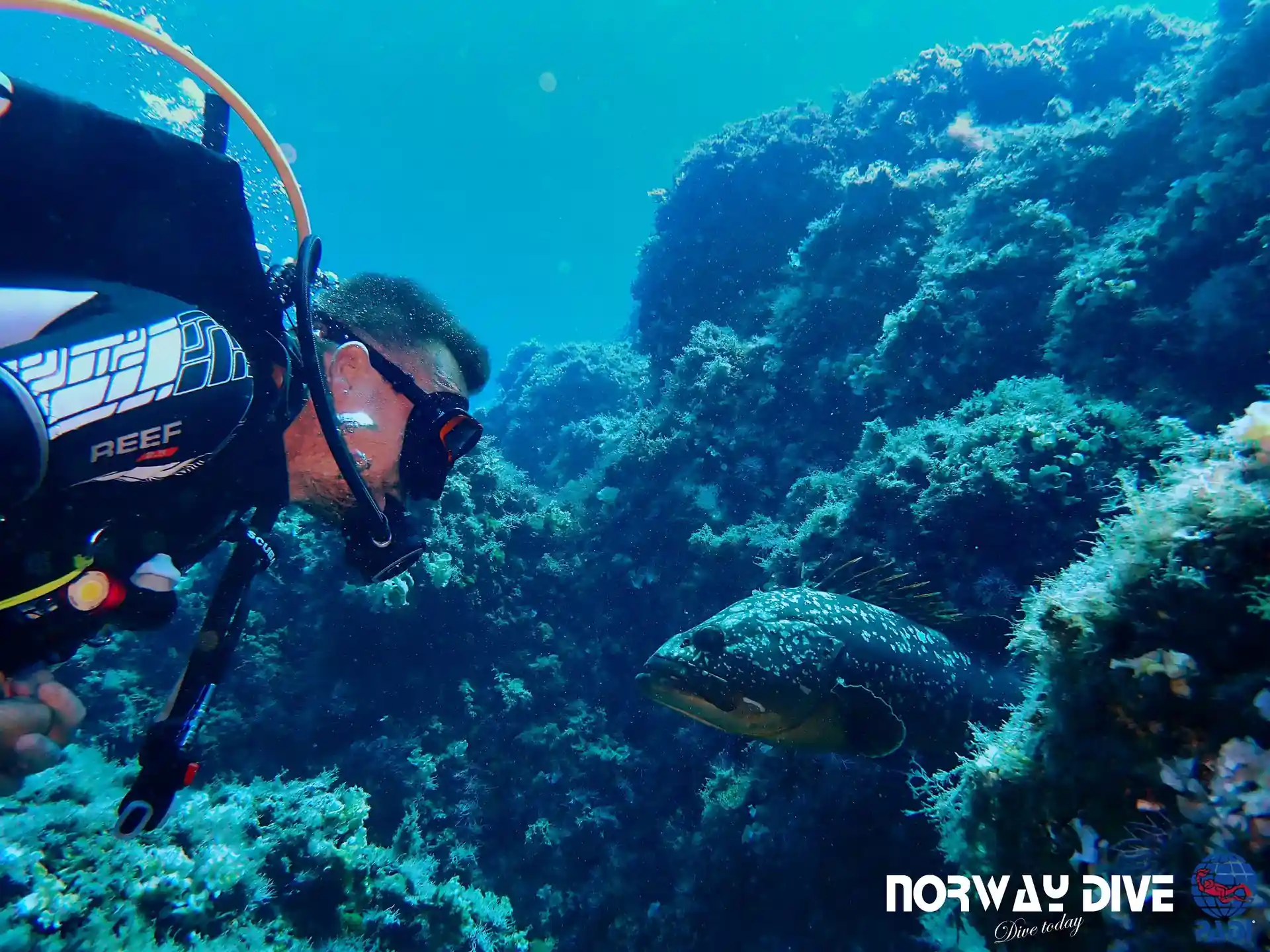Foto del sitio de buceo