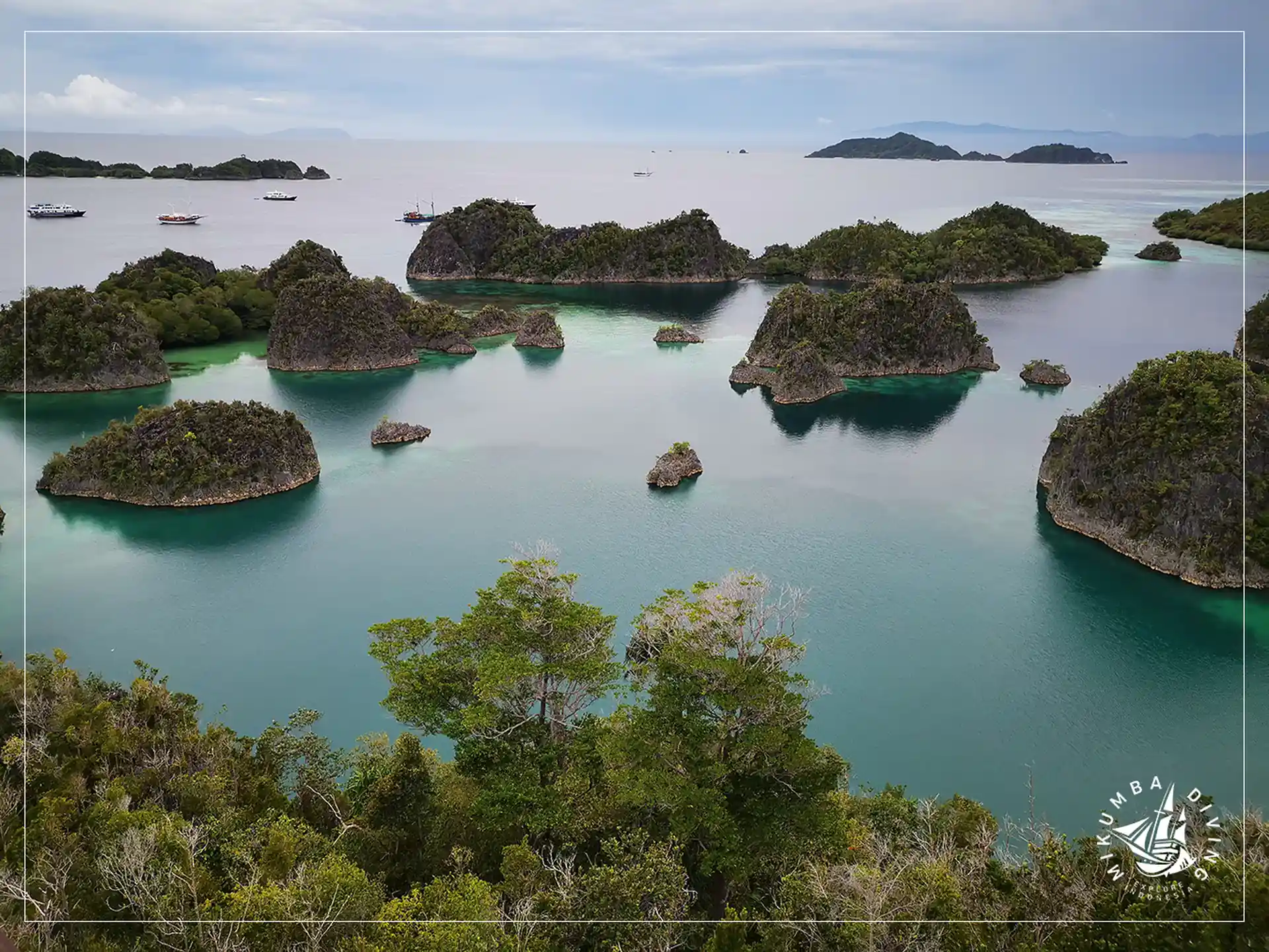 Photo de l'activité