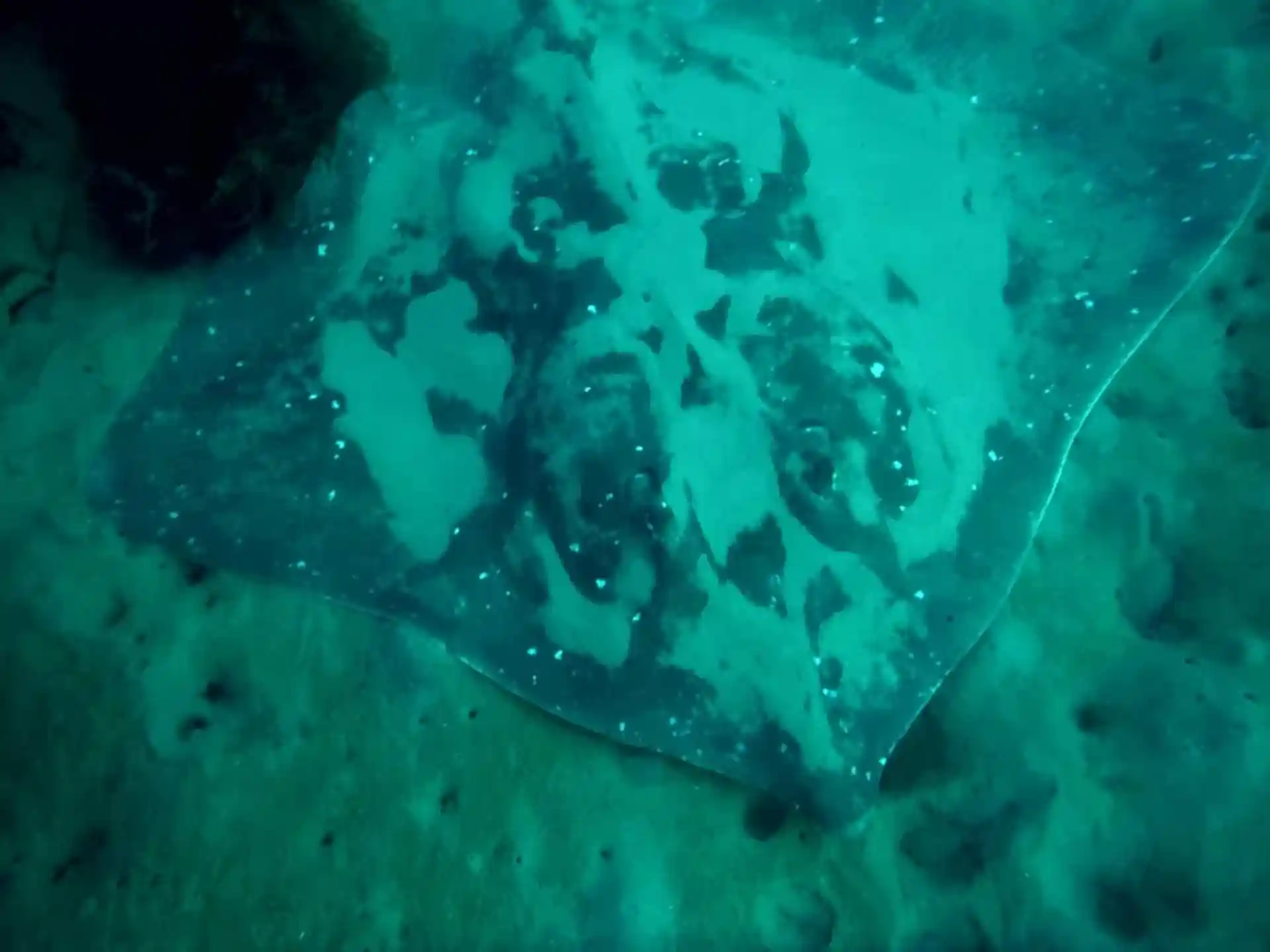 ダイビングサイトの写真