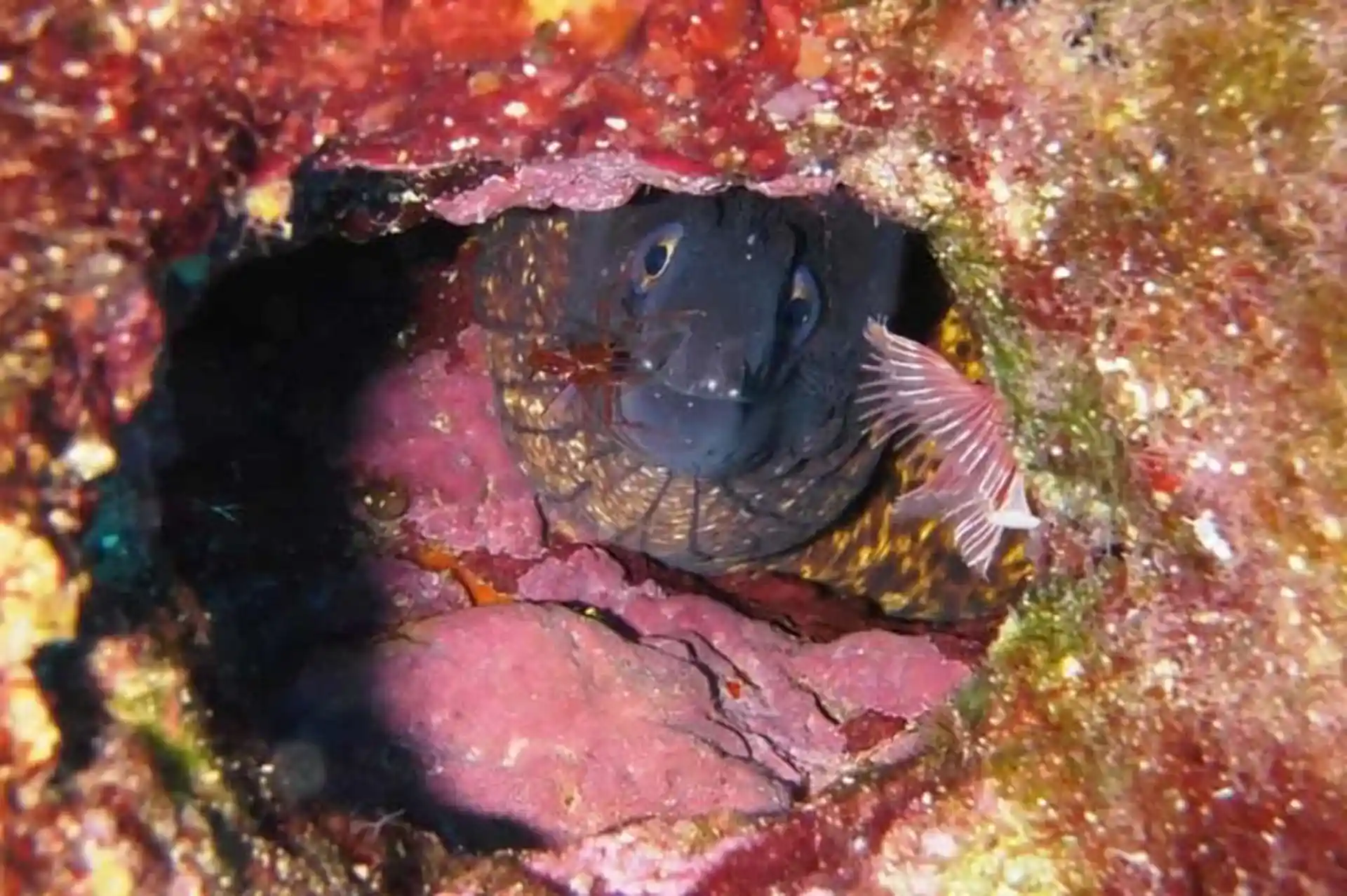 Dive site photo