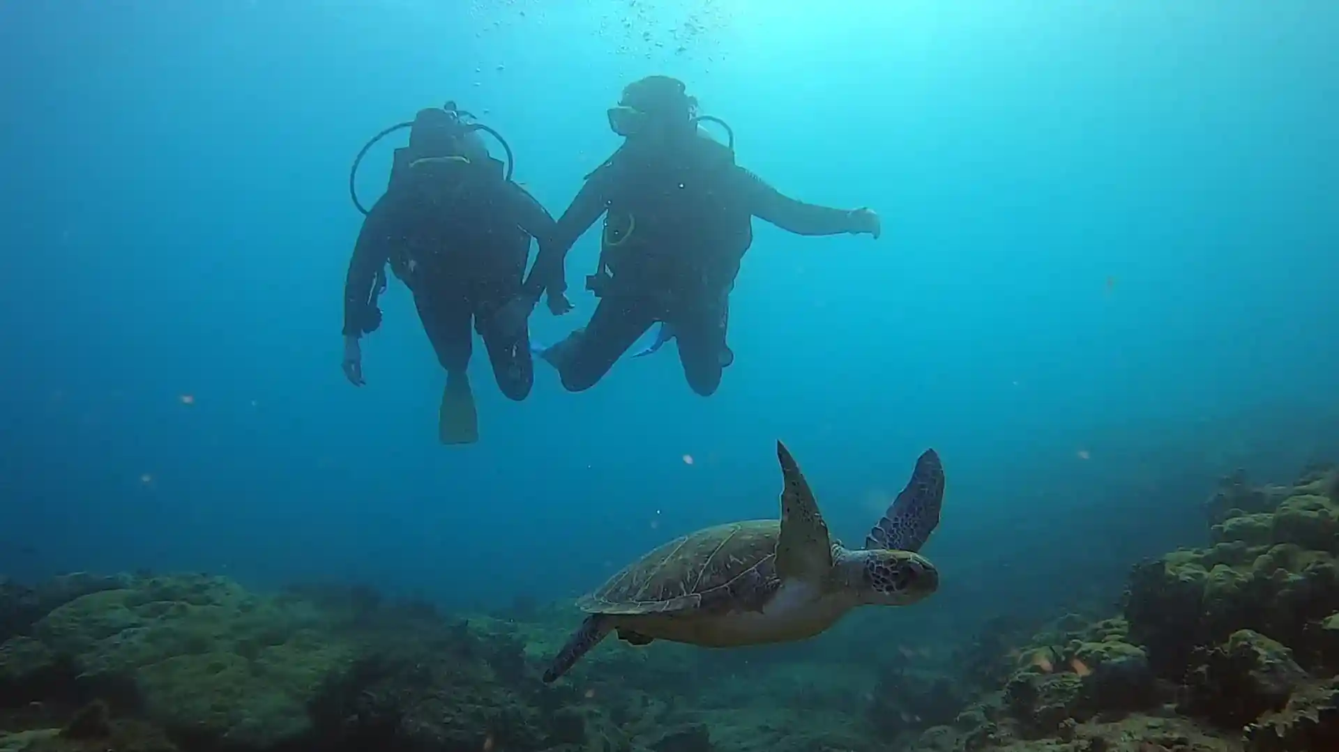 Photo de l'activité