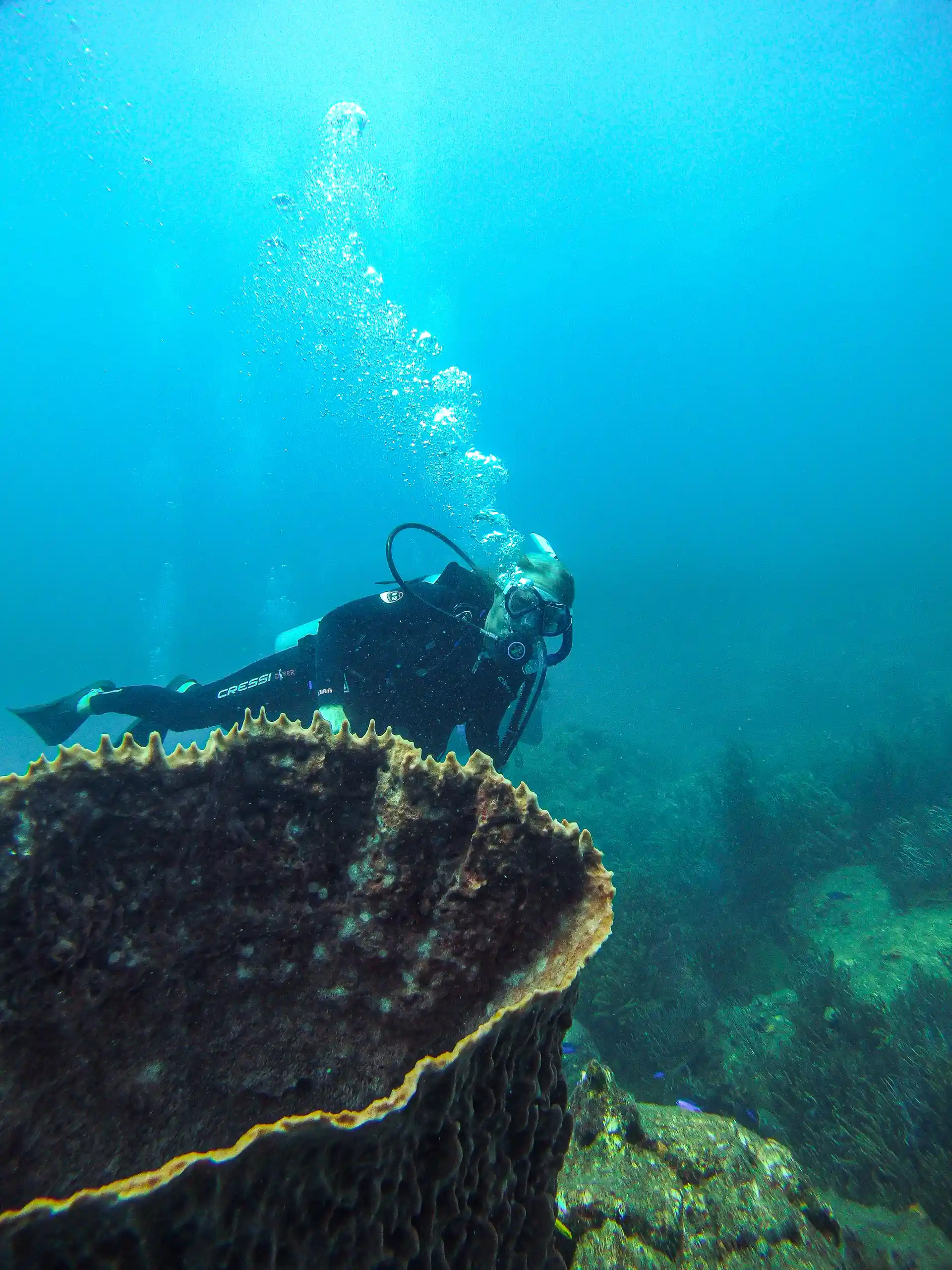 sitios de buceo en santa marta