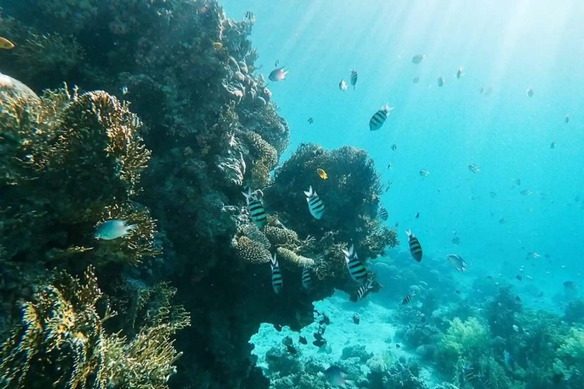 The shoreline is abundant with fringe reefs built up supporting a rich diversity of marine life.