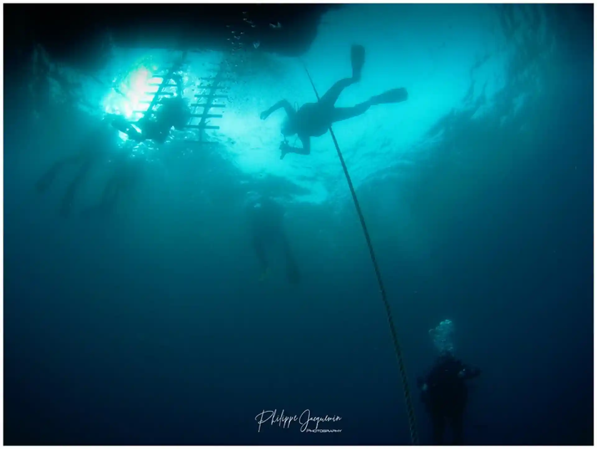 Foto de la actividad