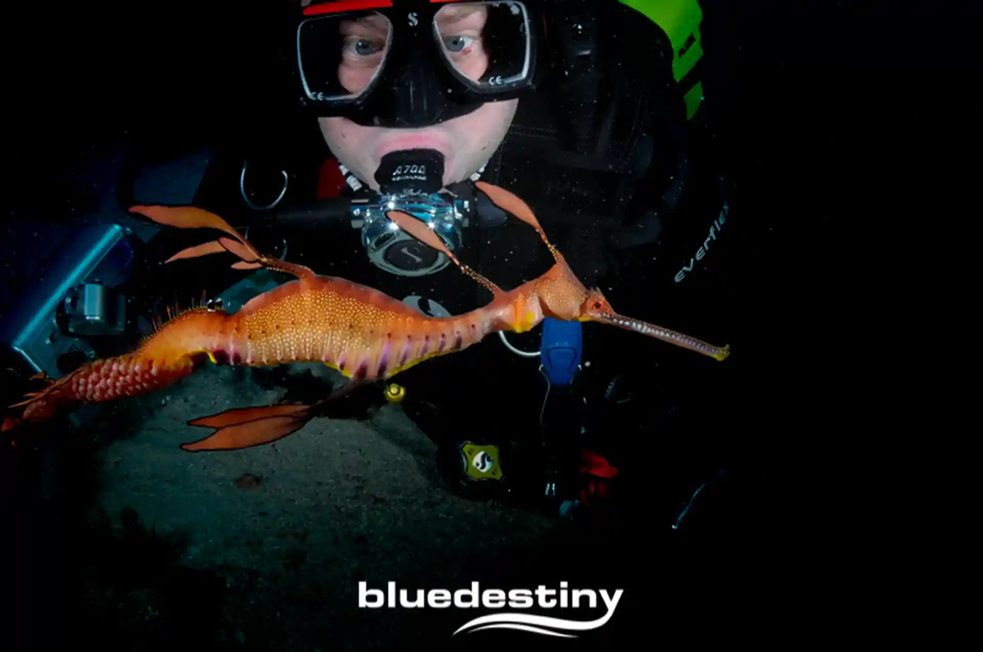 Dive shop photo