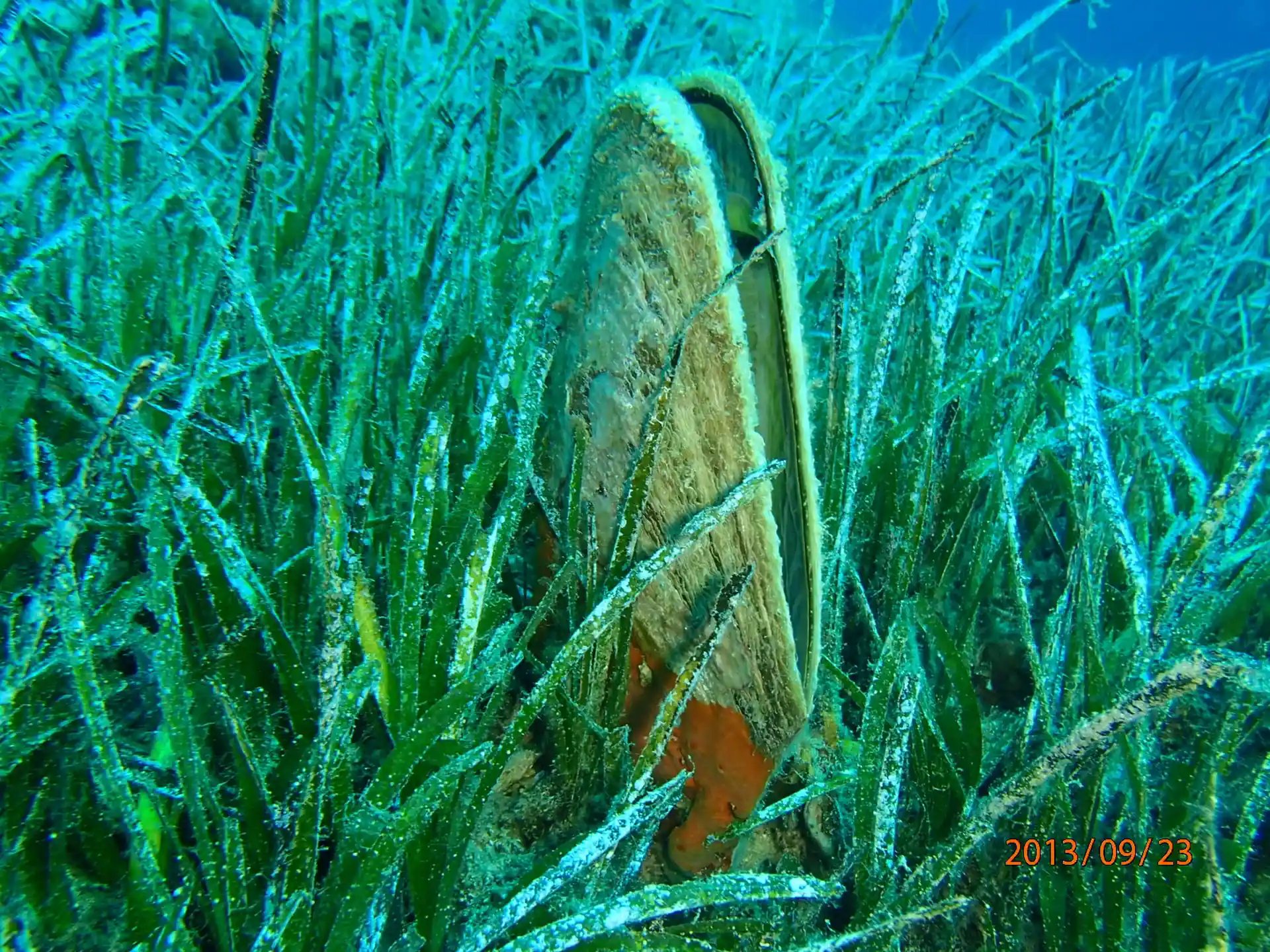 Dive site photo