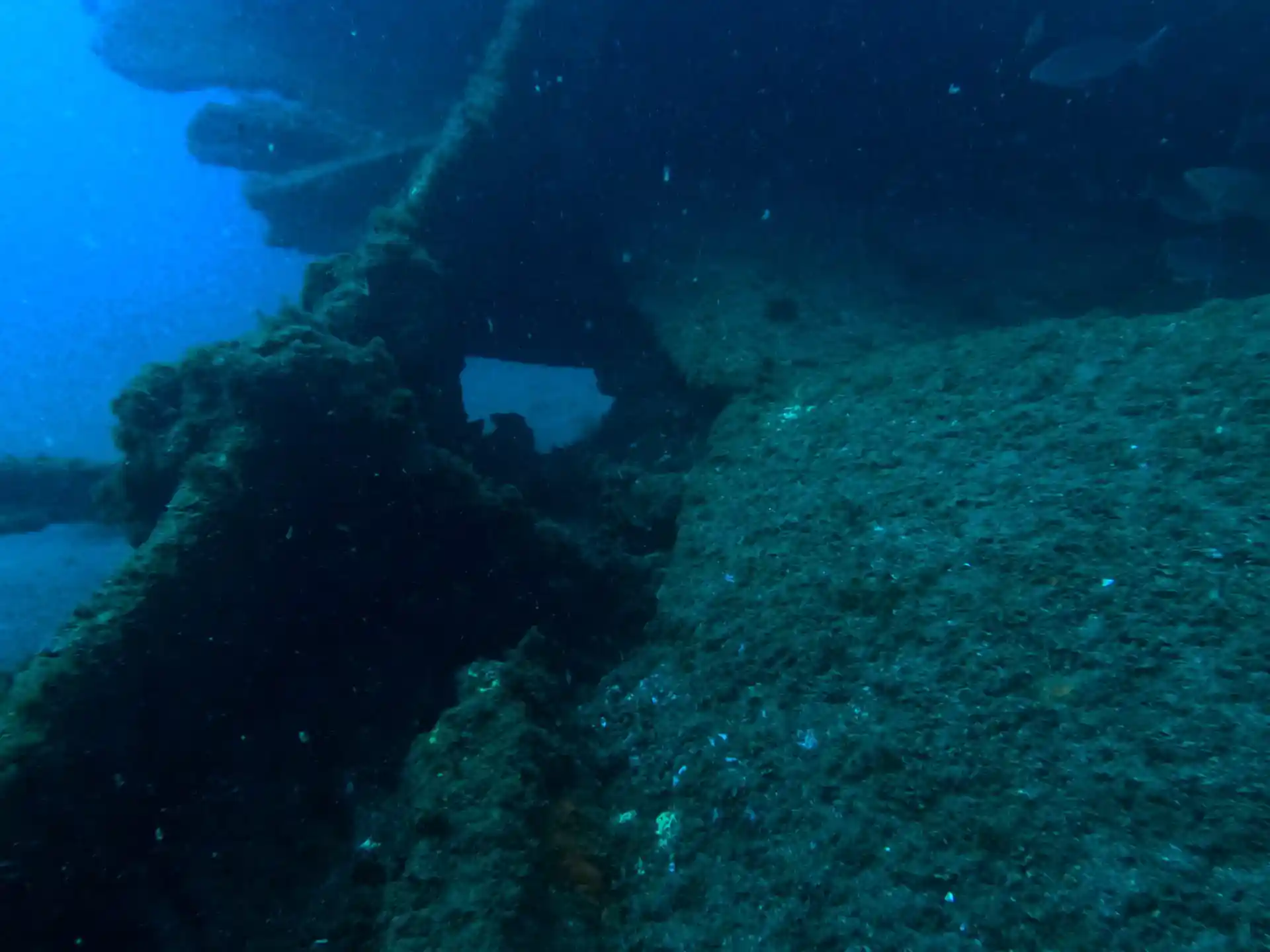 Dive site photo