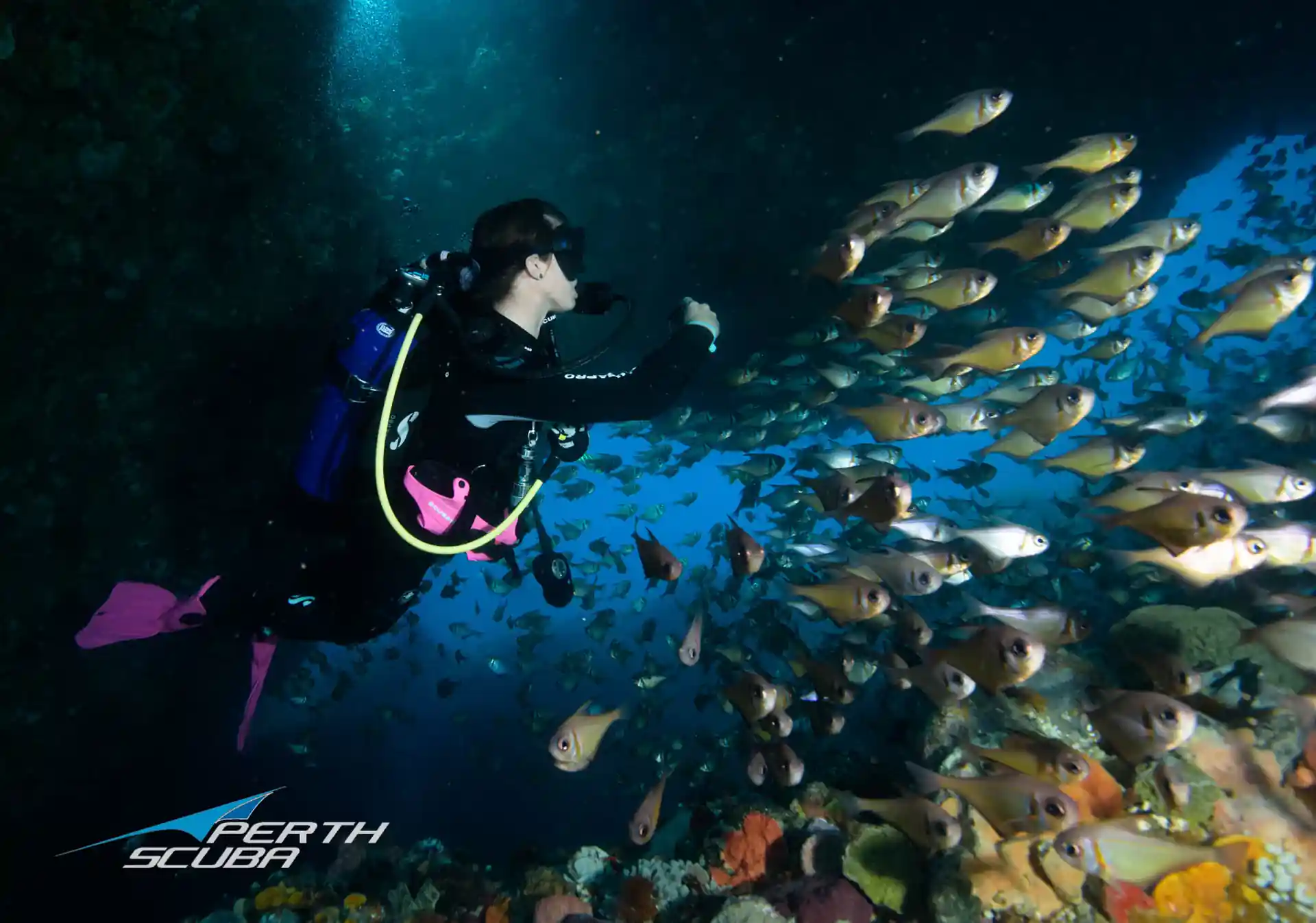 Underwater photography adventure dive at Rottnest Island