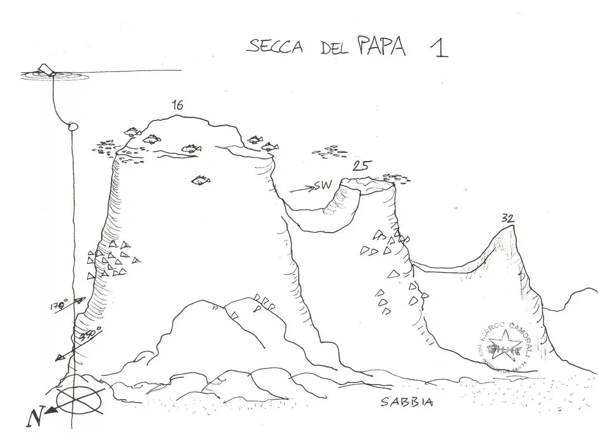 ダイビングサイトの写真