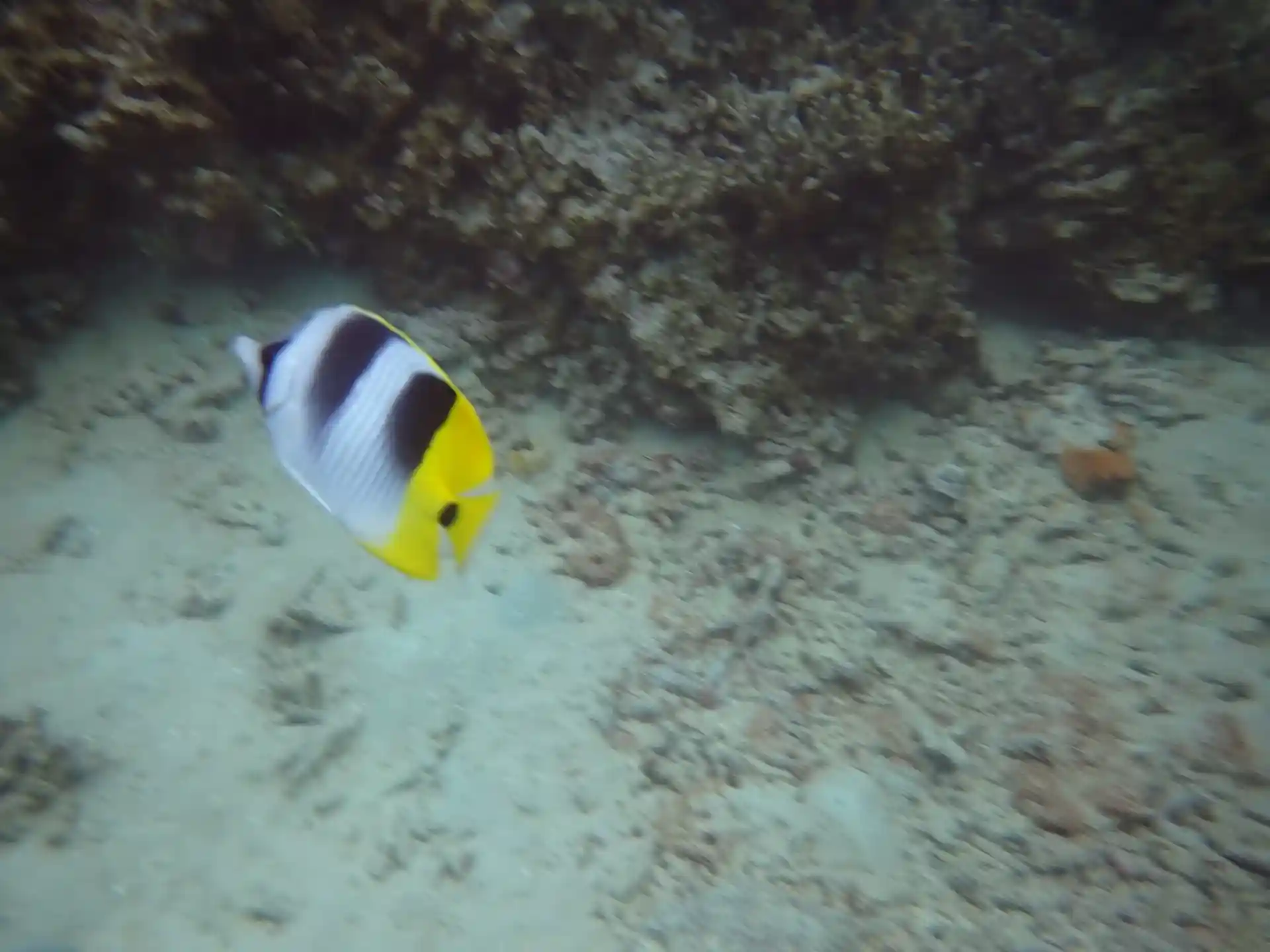 Foto des Tauchplatzes