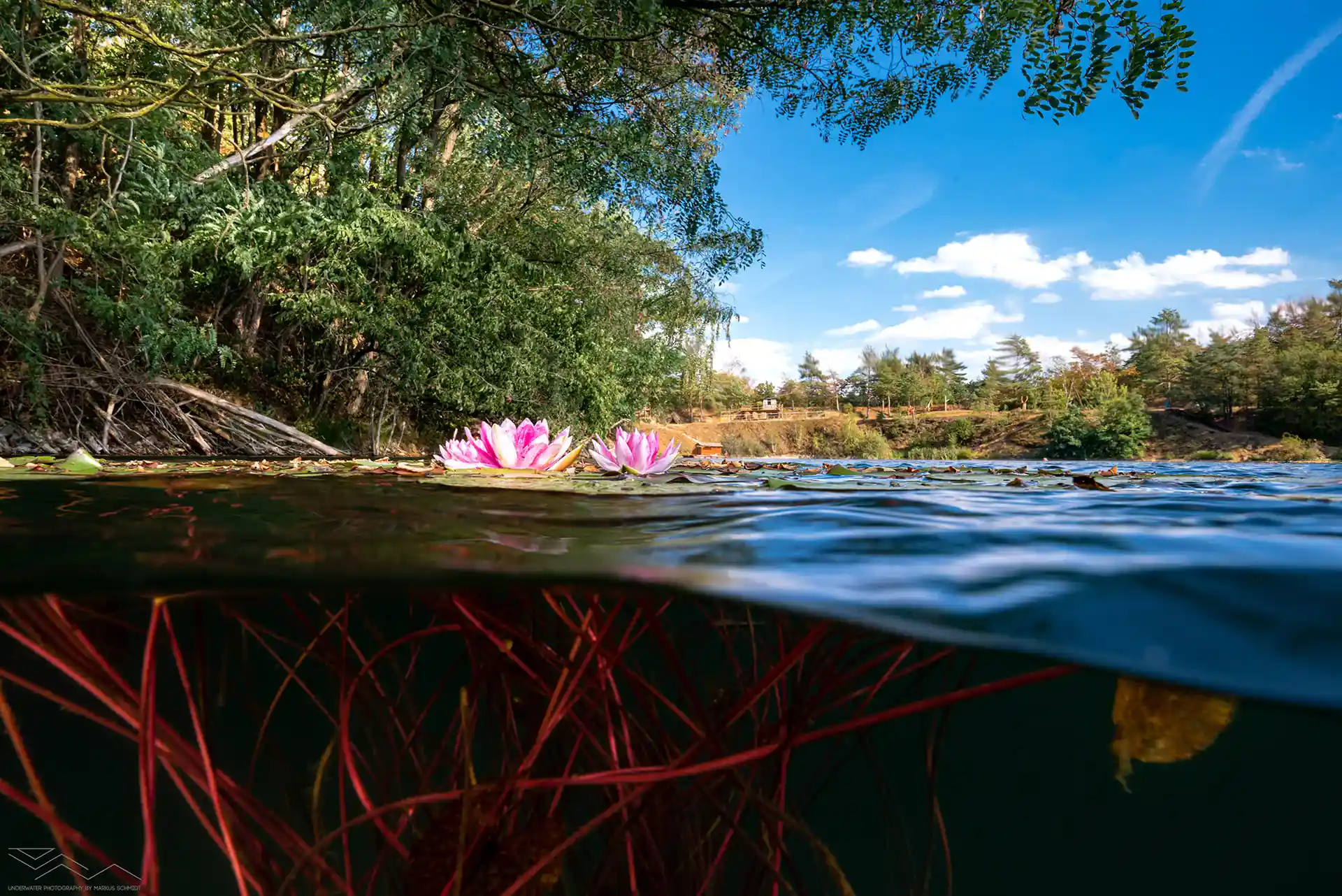 다이빙 포인트 사진