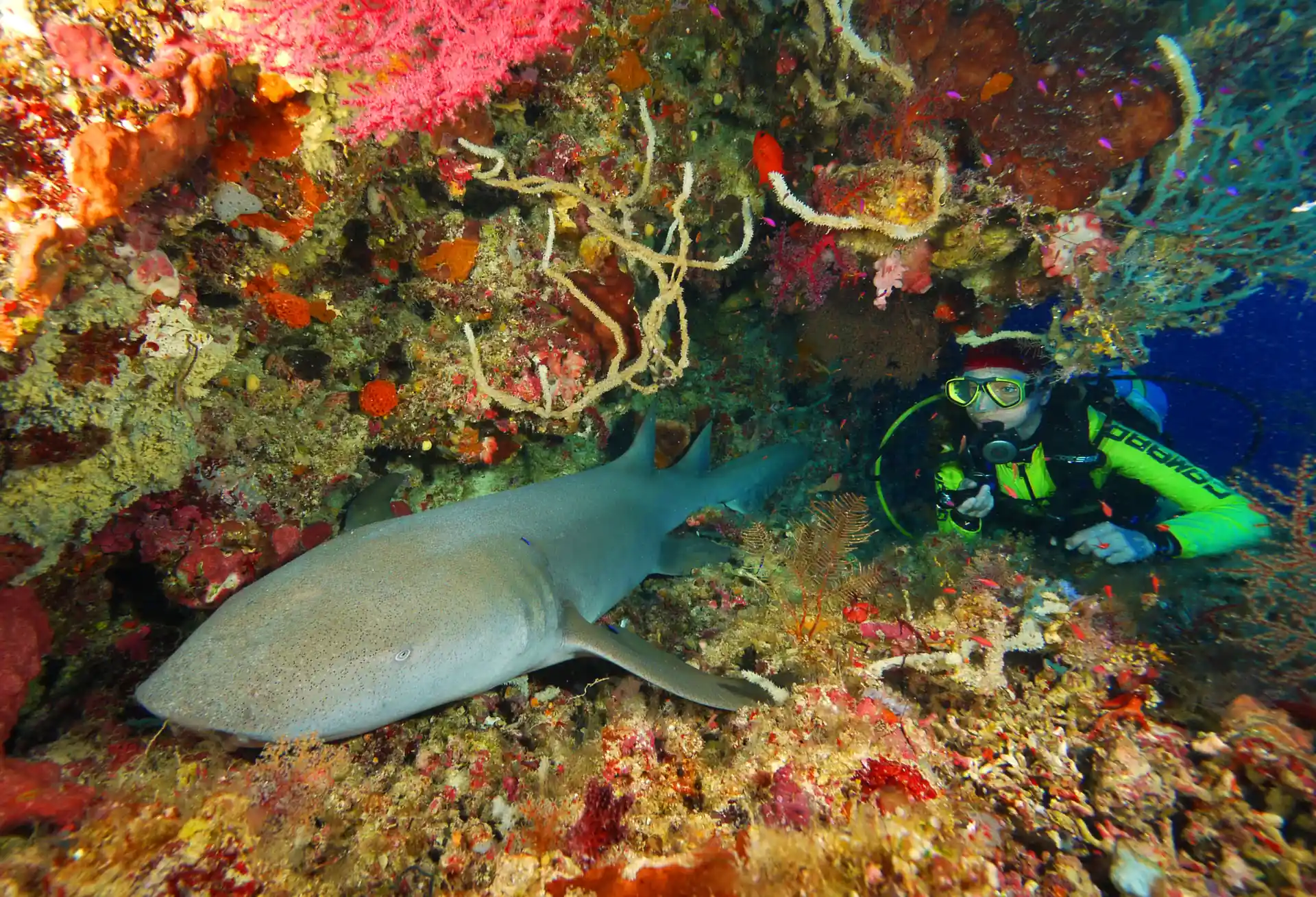 Dive shop photo