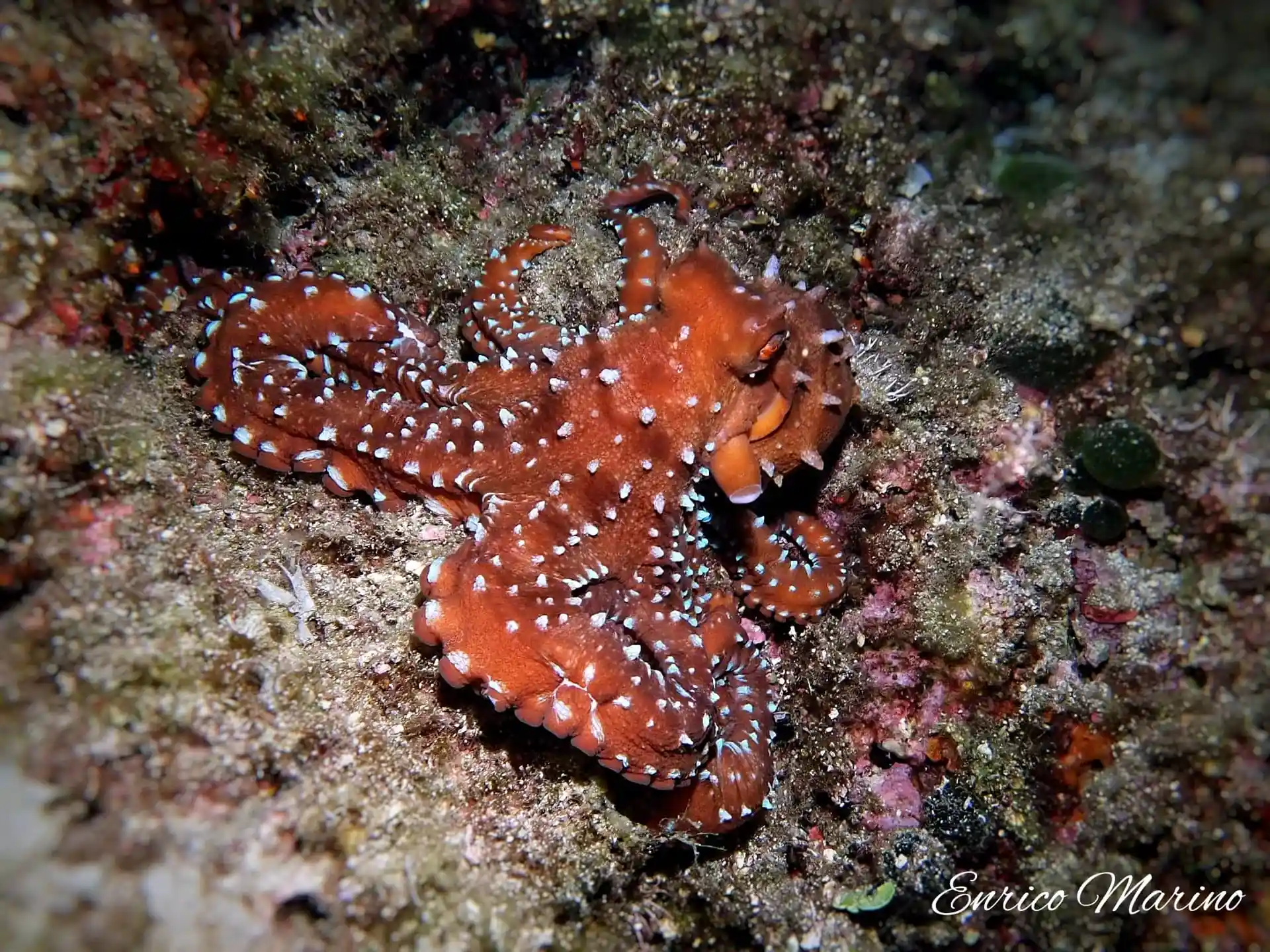 Dive site photo