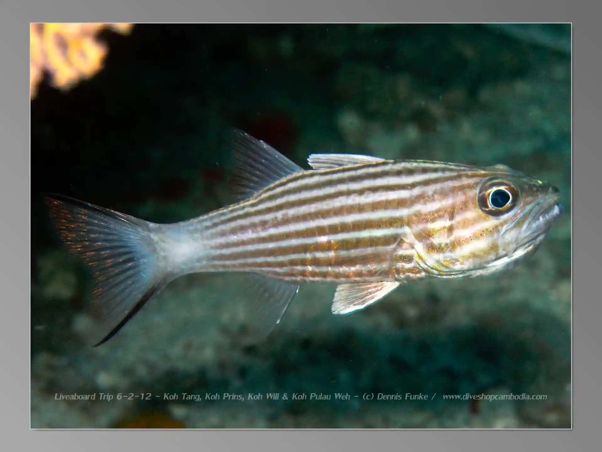 Foto van de duiklocatie