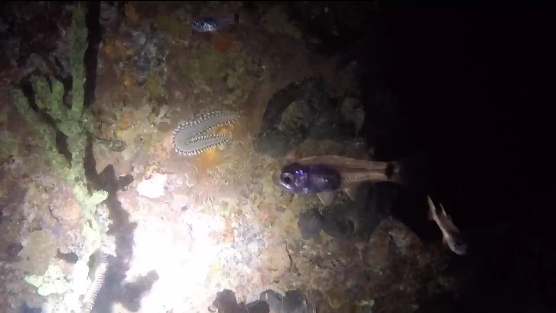 Dive site photo
