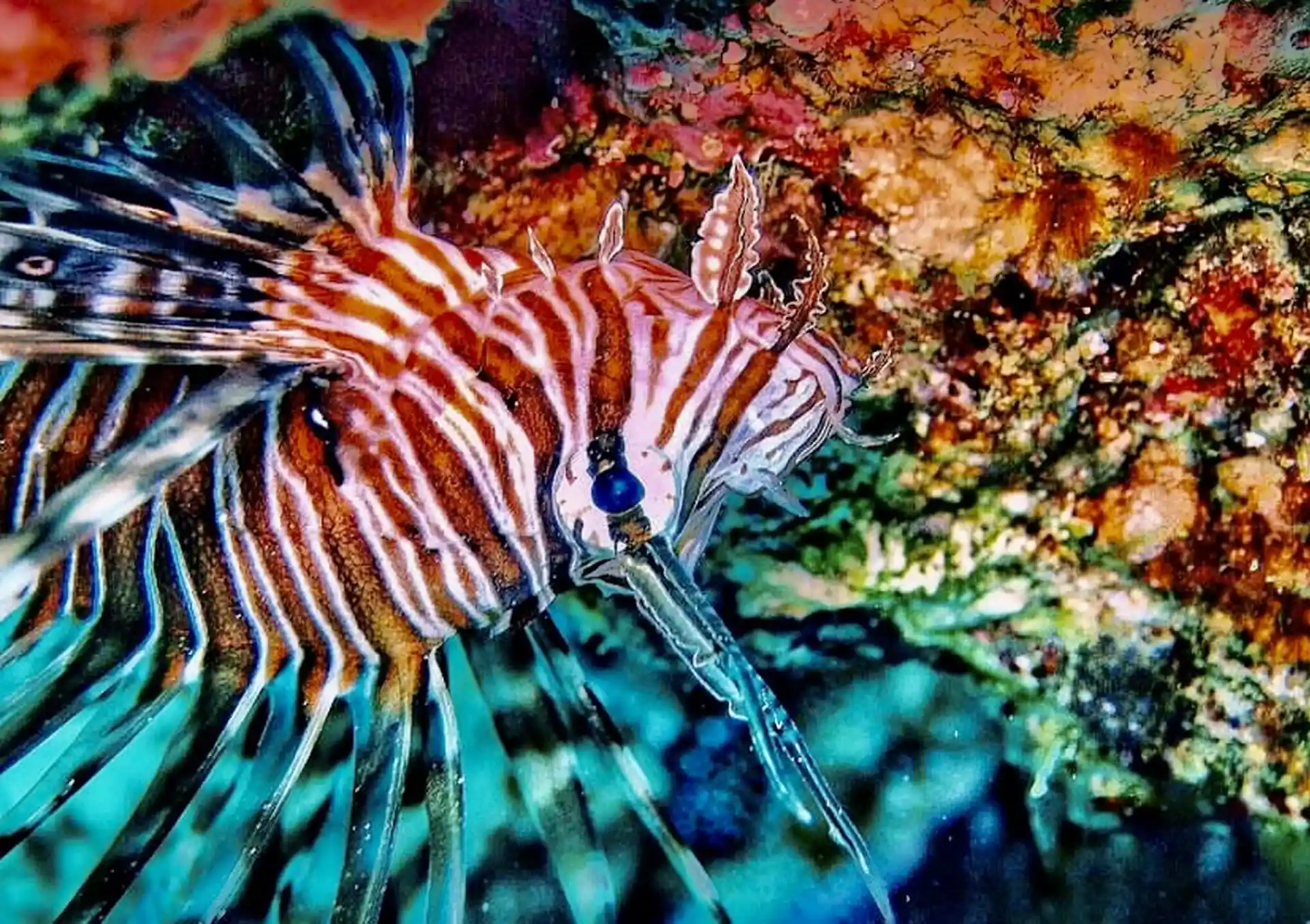 Dive site photo