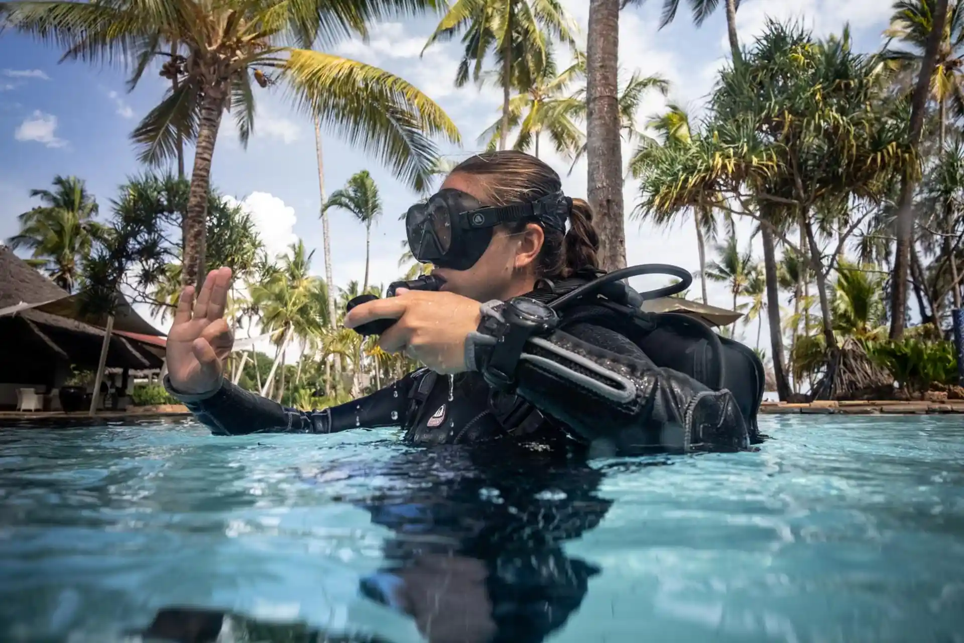 Photo de l'activité